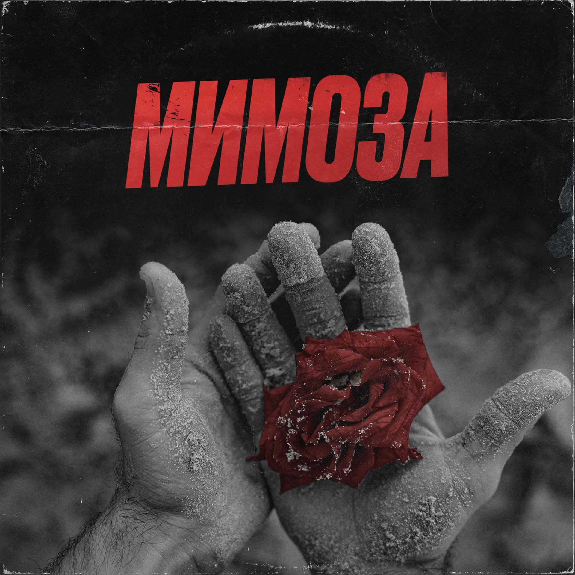 Постер альбома Мимоза