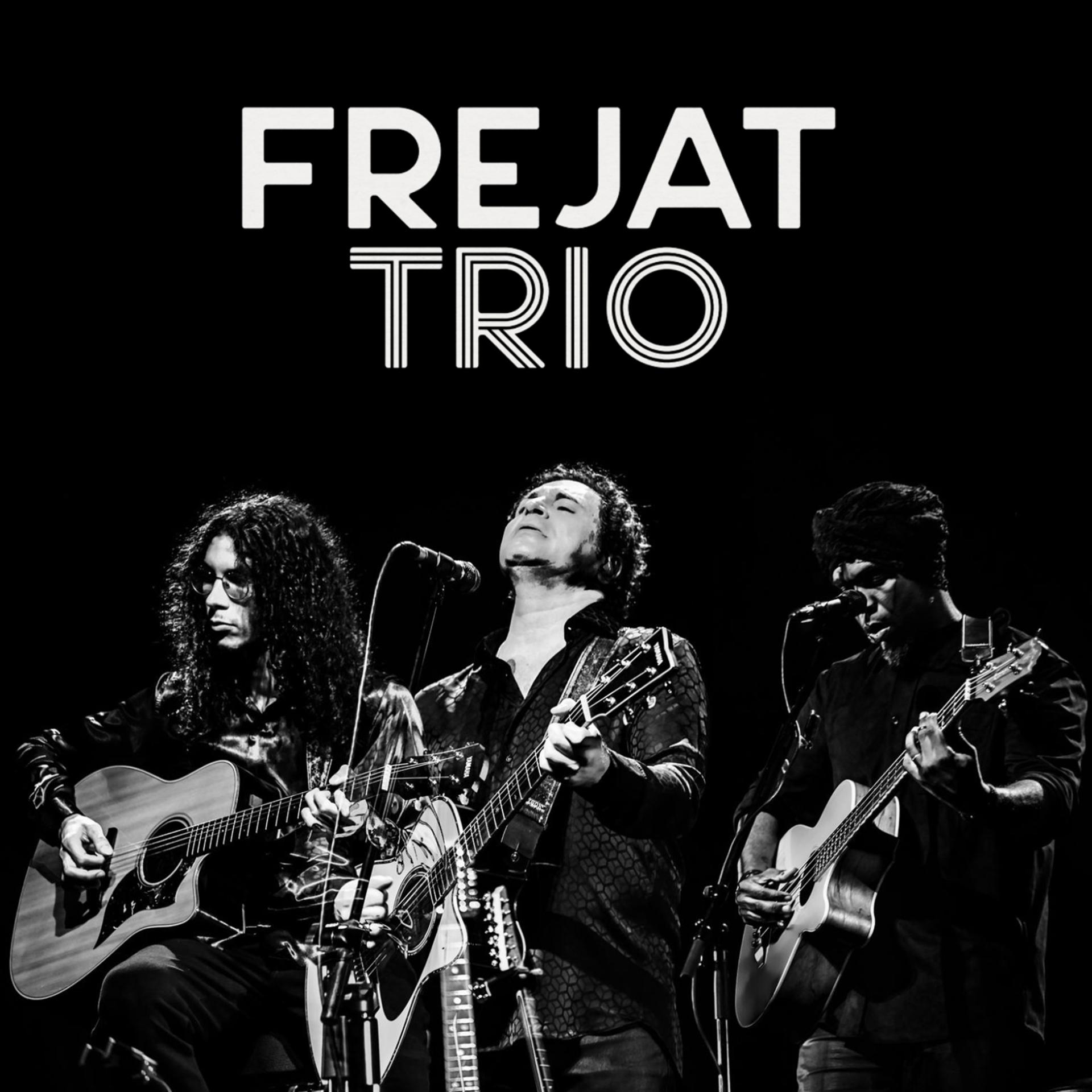 Постер альбома Frejat Trio Ao Vivo no Teatro Alcione Araújo