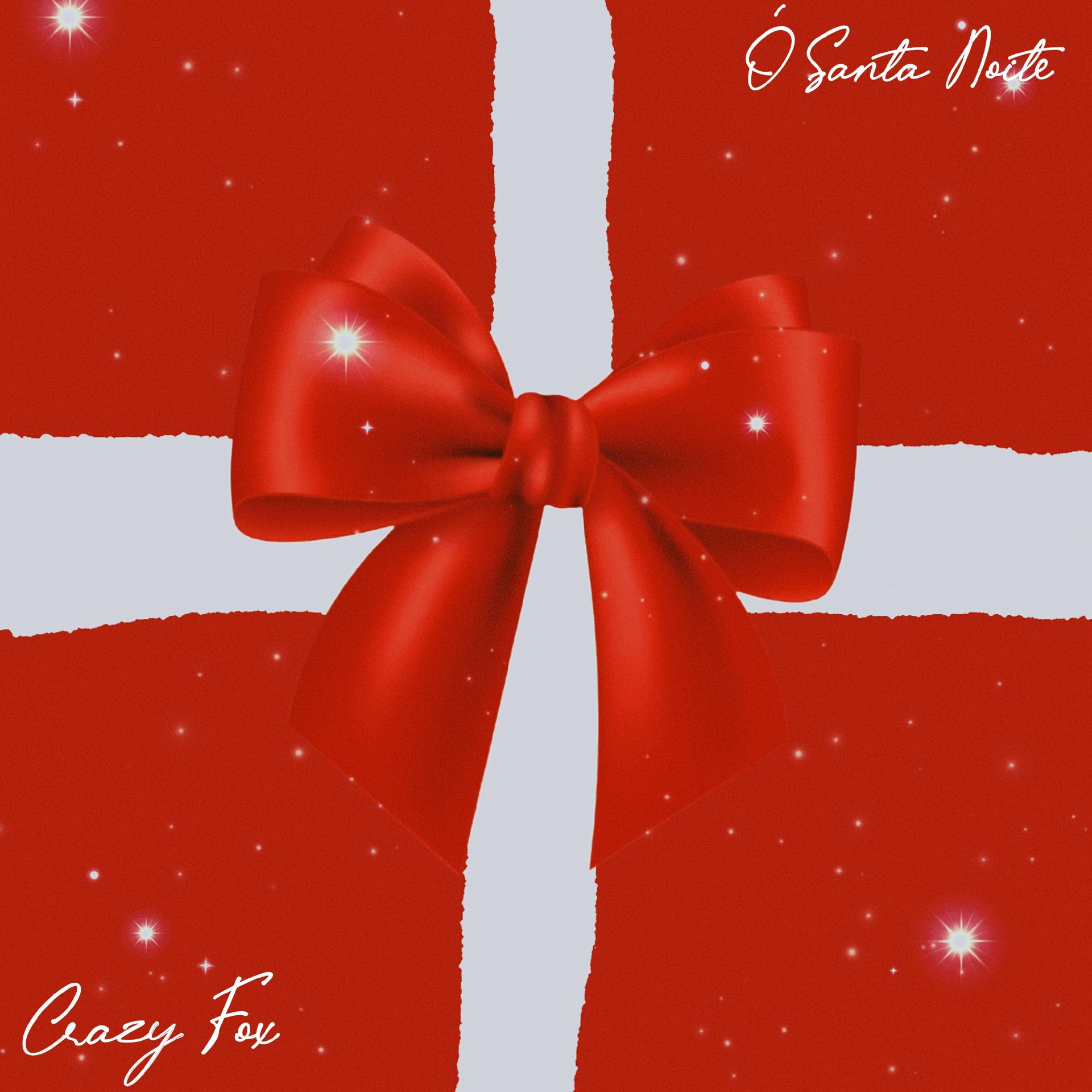 Постер альбома Ó Santa Noite