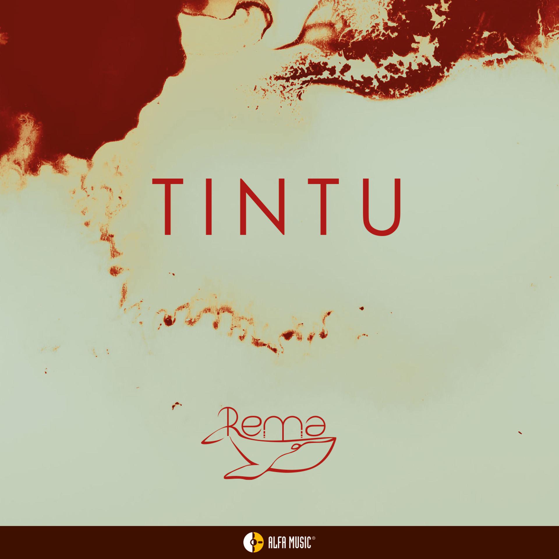 Постер альбома TINTU
