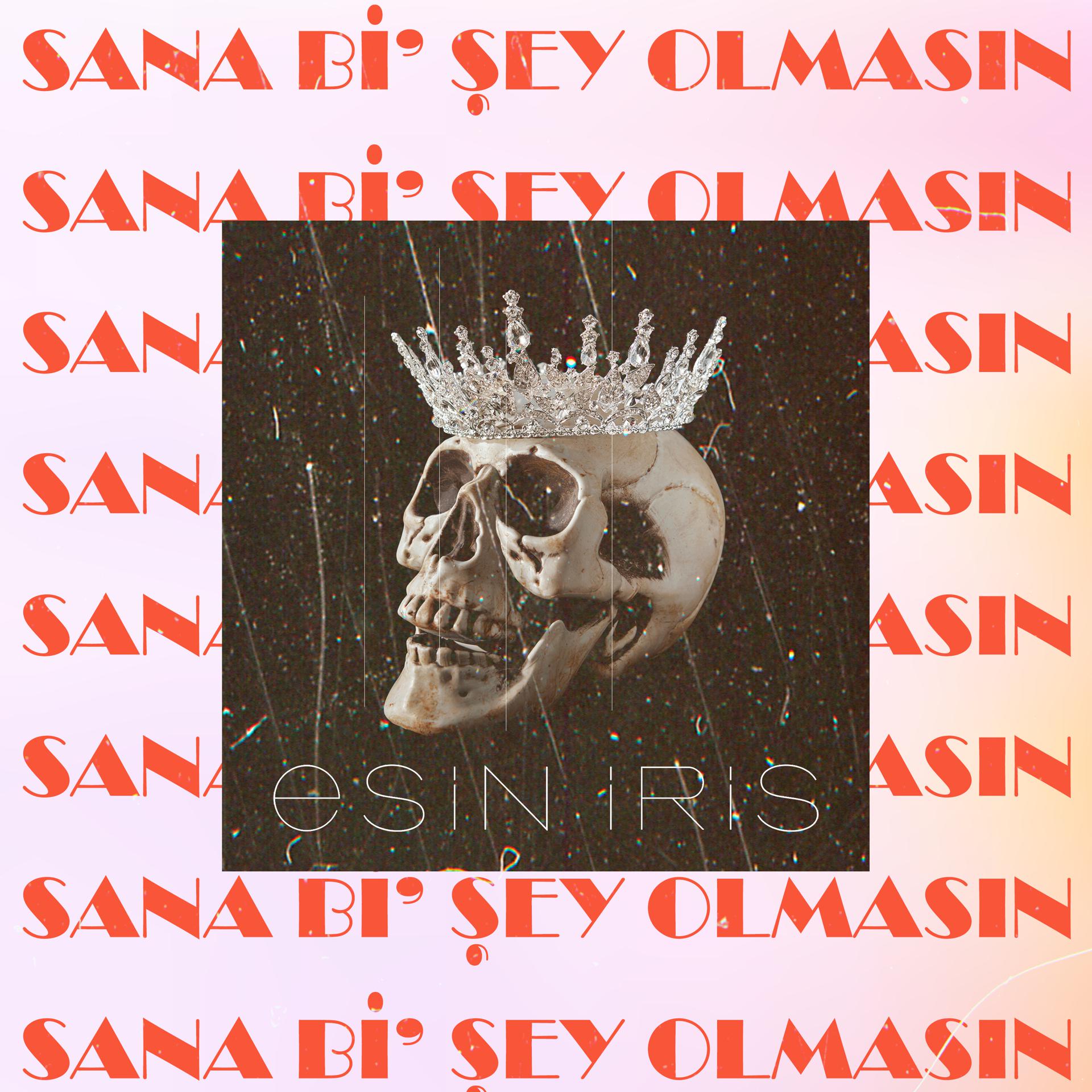 Постер альбома Sana Bi' Şey Olmasın