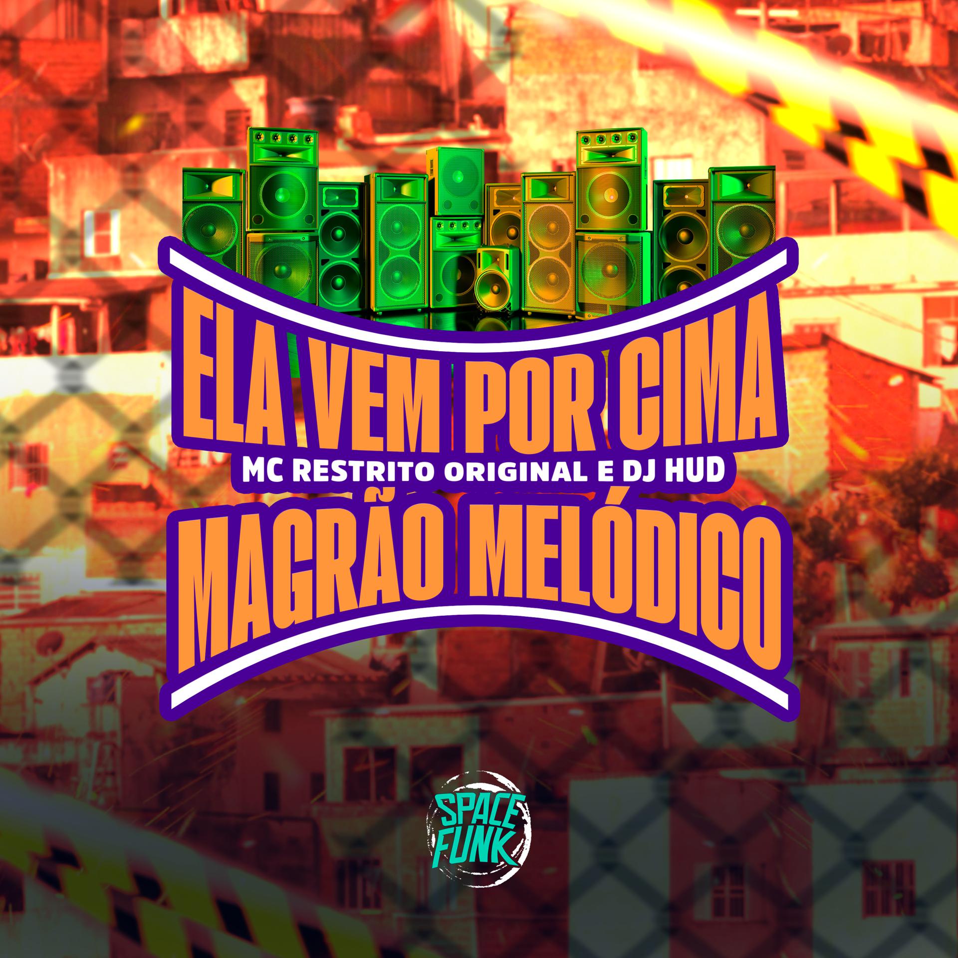 Постер альбома Ela Vem por Cima - Magrão Melódico
