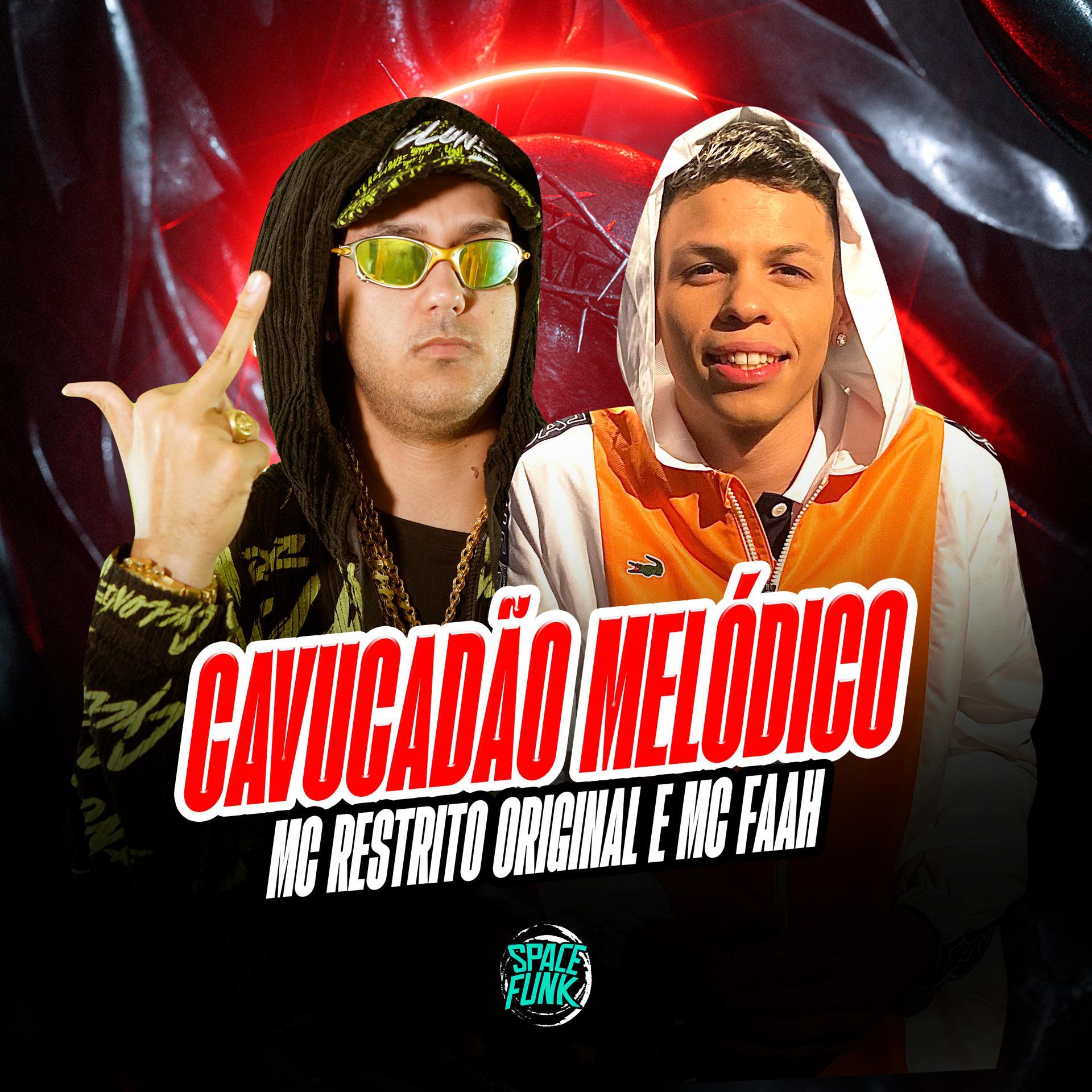 Постер альбома Cavucadão Melódico