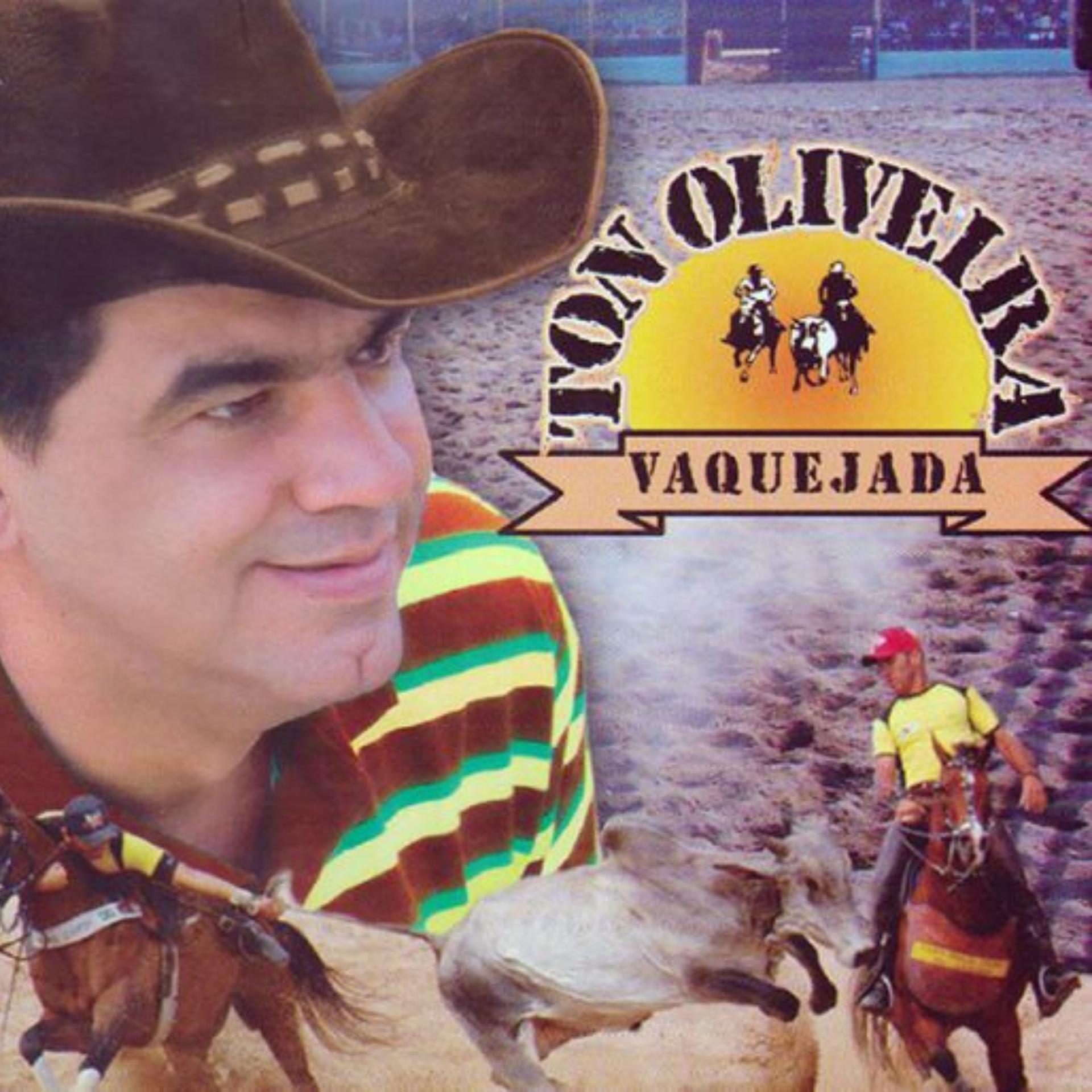 Постер альбома Vaquejada