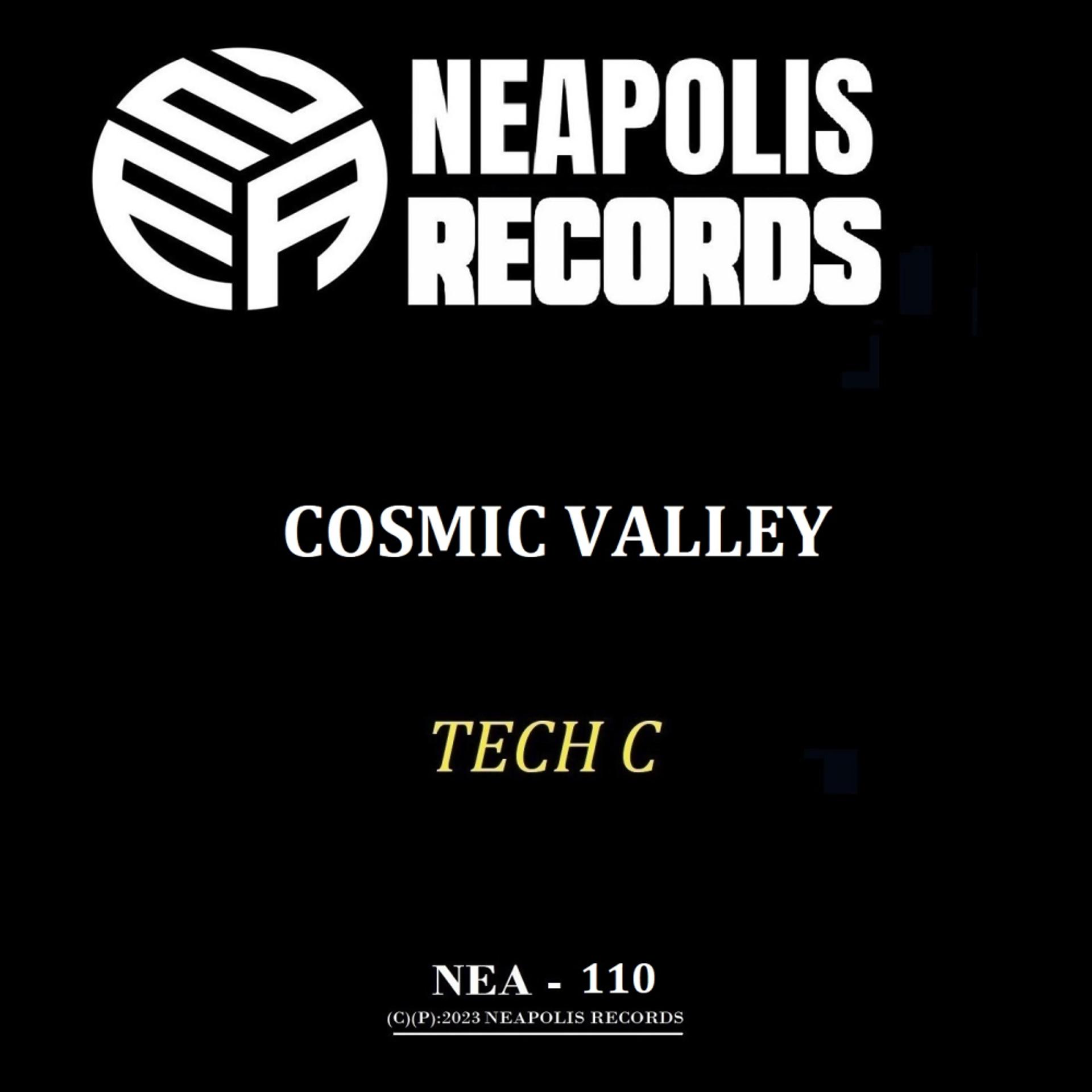 Постер альбома Cosmic Valley