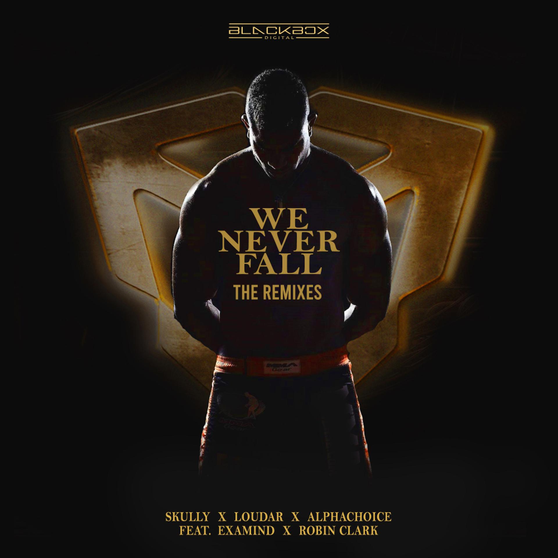 Постер альбома We Never Fall - The Remixes