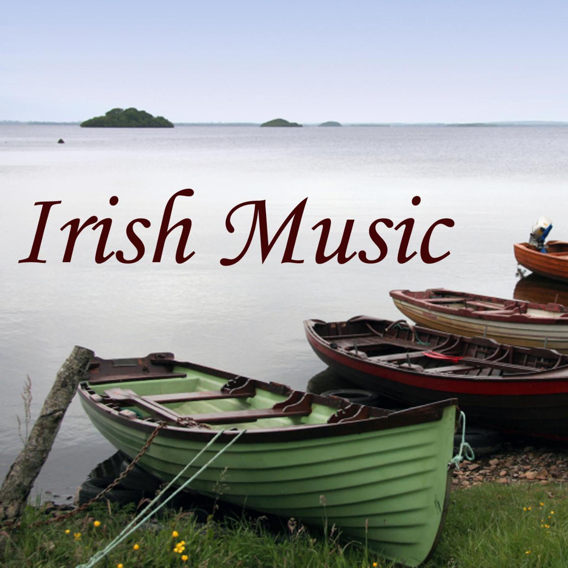 Постер альбома Irish Music - Instrumental