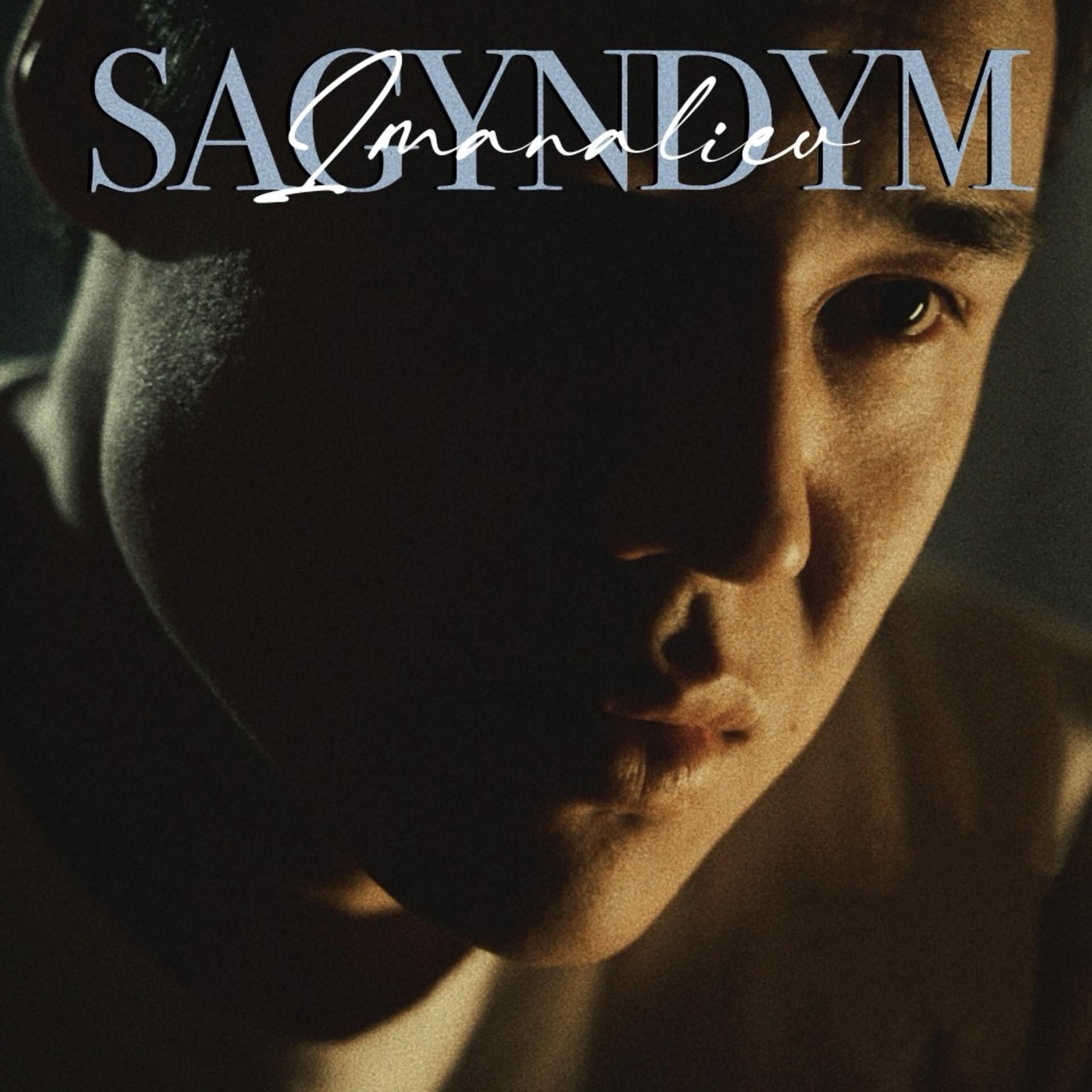 Постер альбома Sagyndym