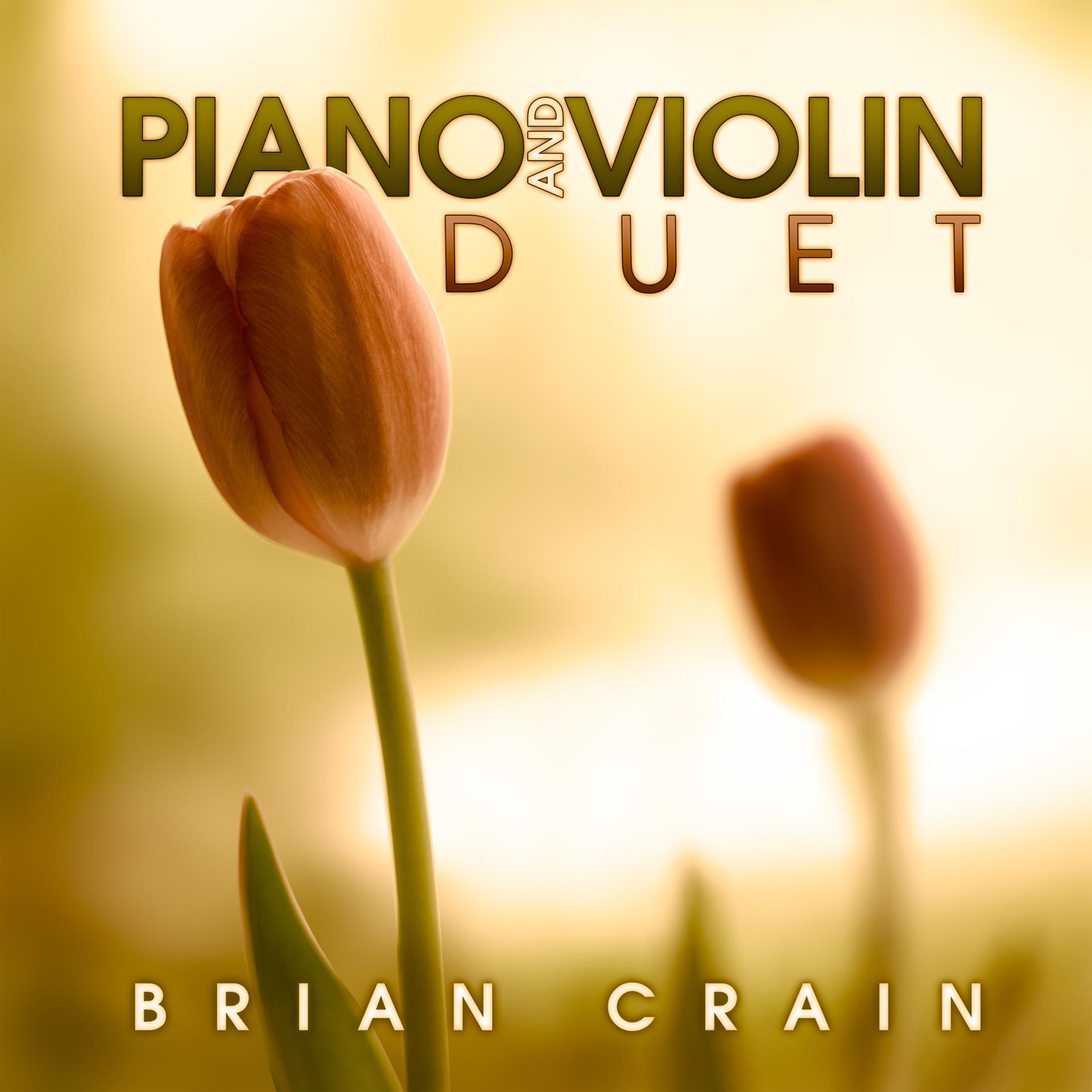 Постер альбома Piano and Violin Duet