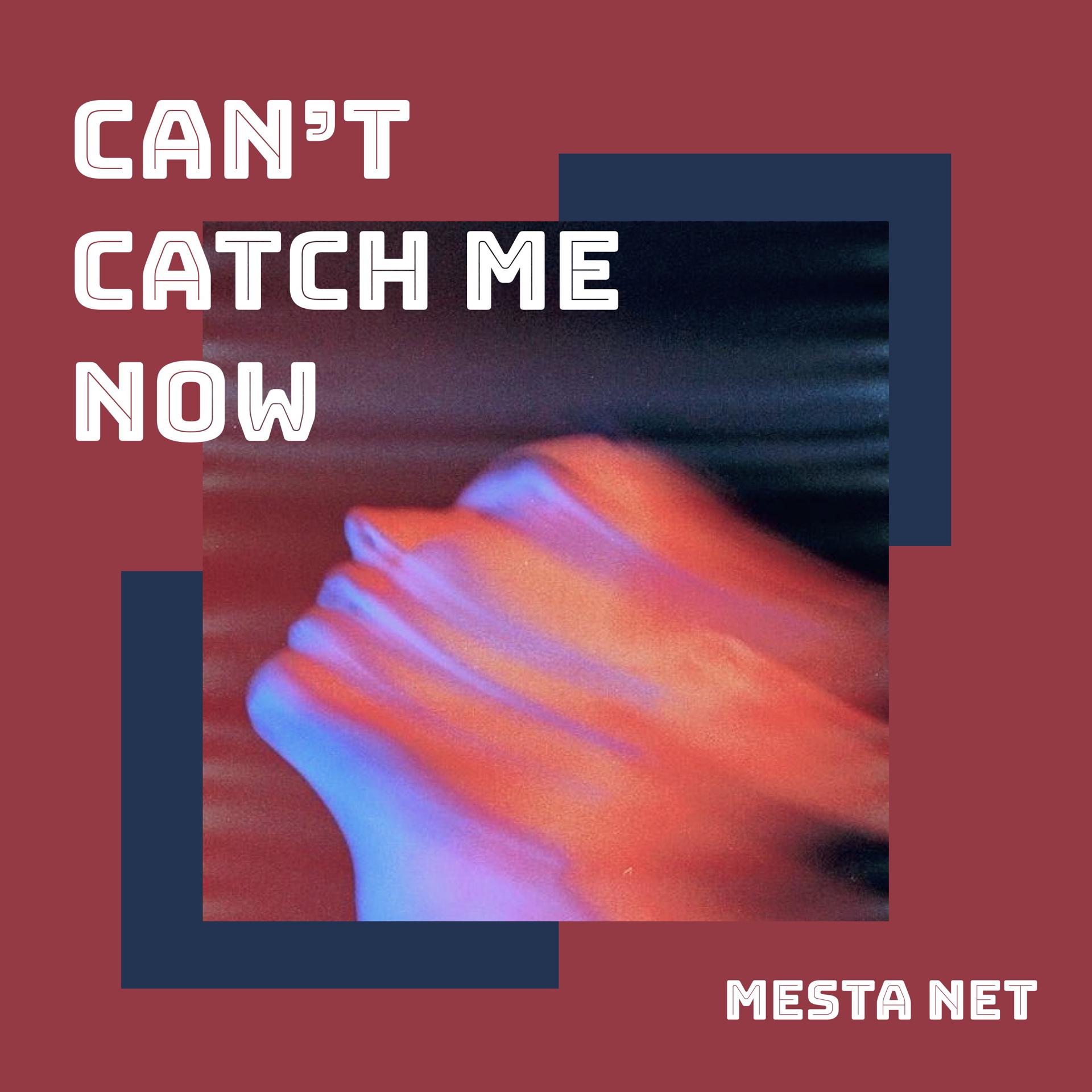 Постер альбома Can't Catch Me Now