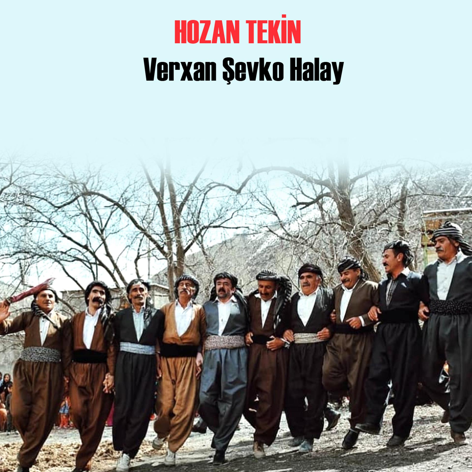Постер альбома Verxan Şevko Halay