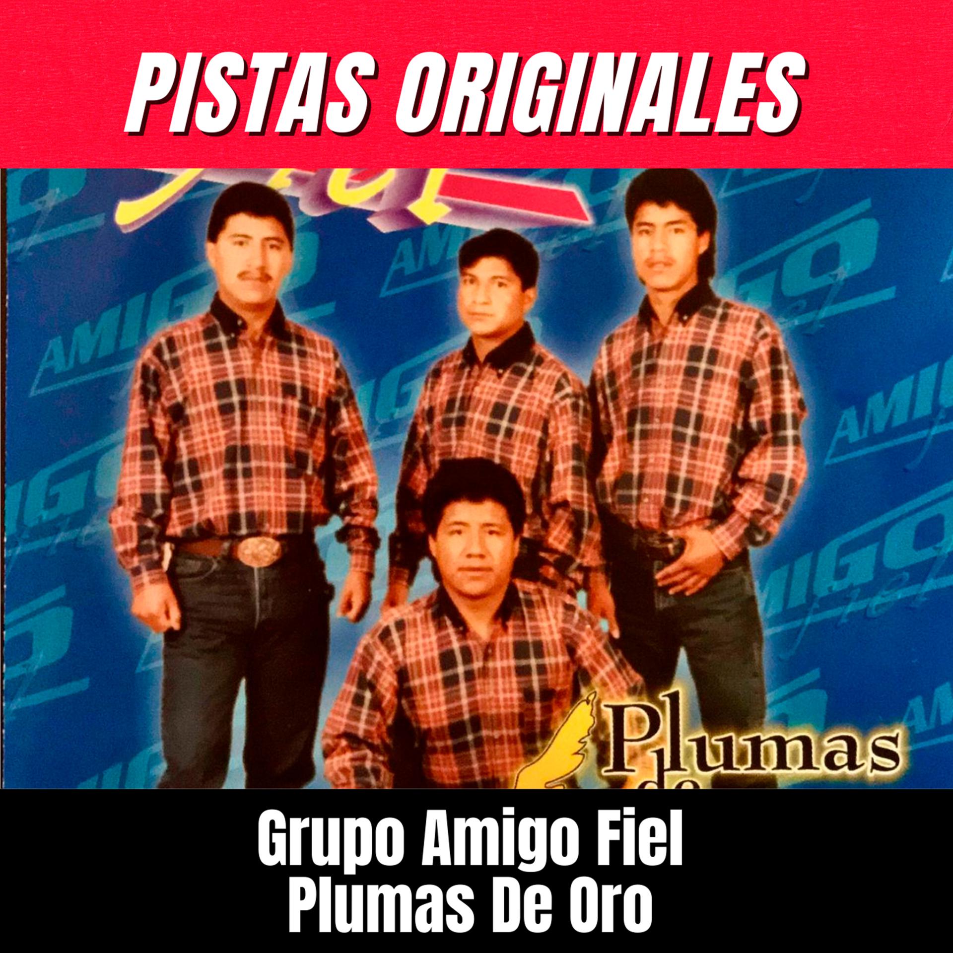 Постер альбома Plumas de Oro (Pistas)
