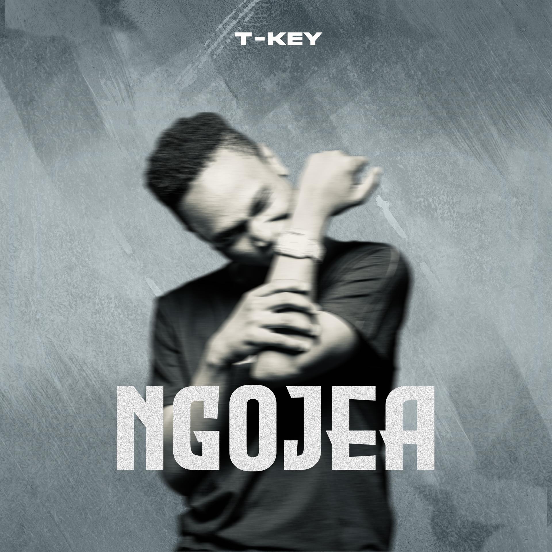 Постер альбома Ngojea
