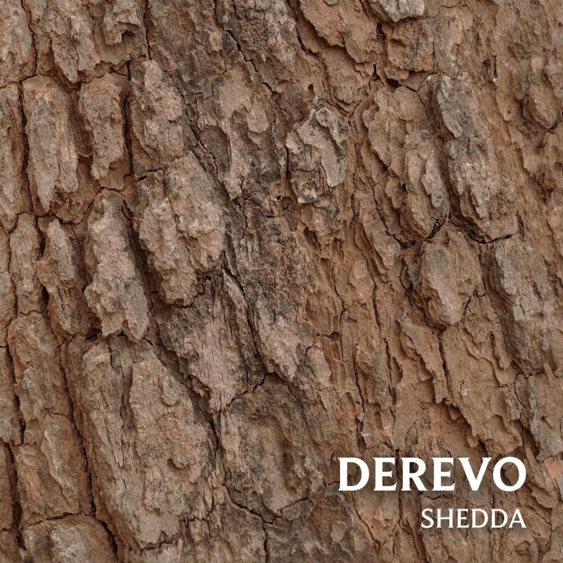Постер альбома Derevo