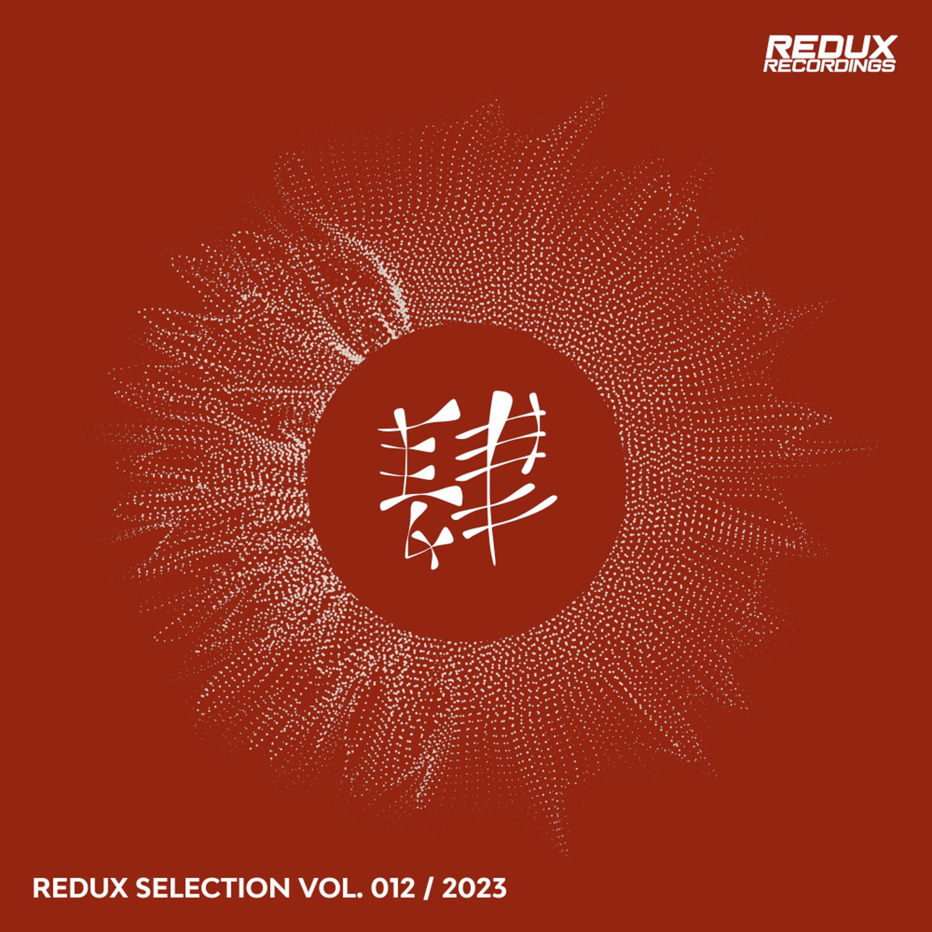 Постер альбома Redux Selection, Vol. 12 / 2023