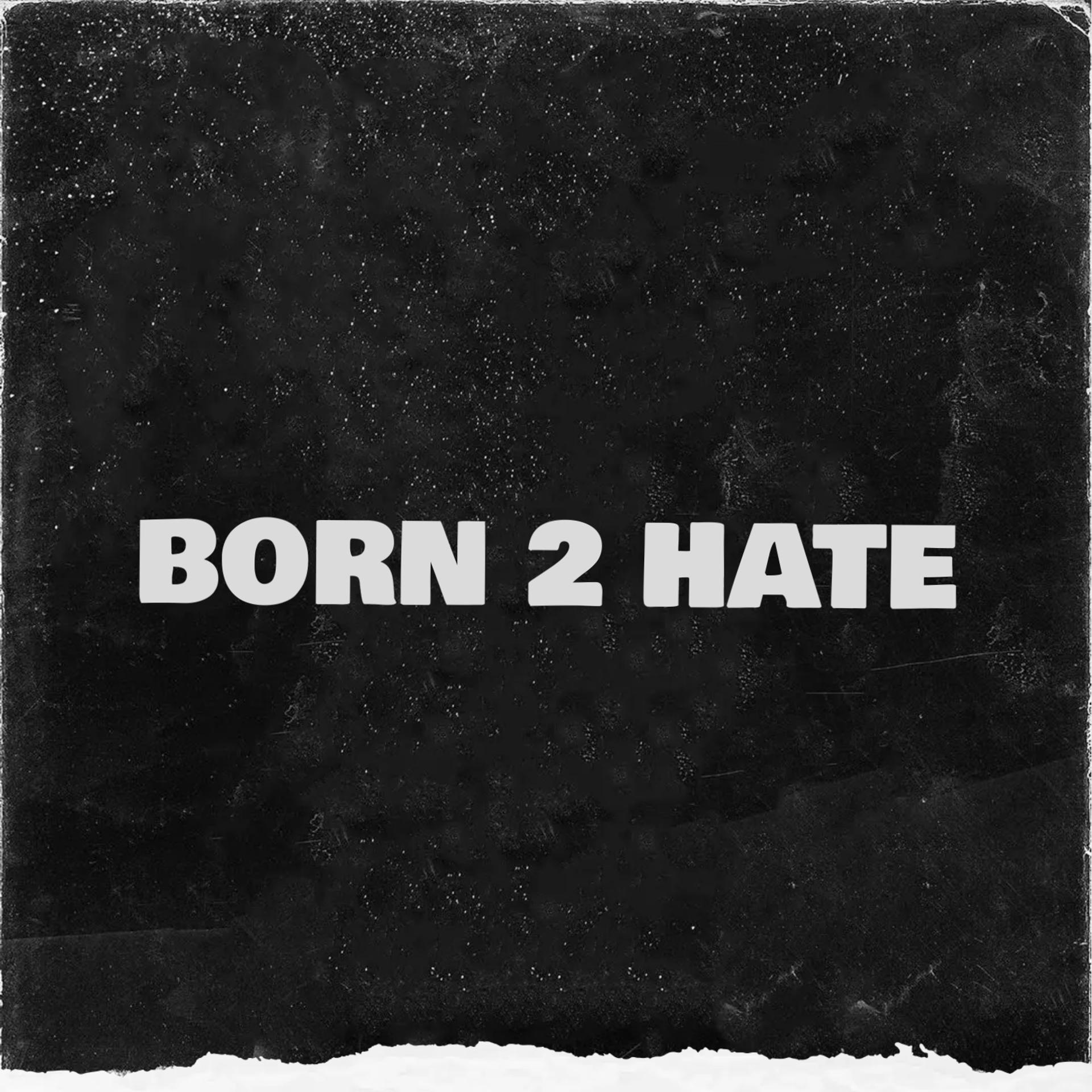 Постер альбома Born 2 Hate