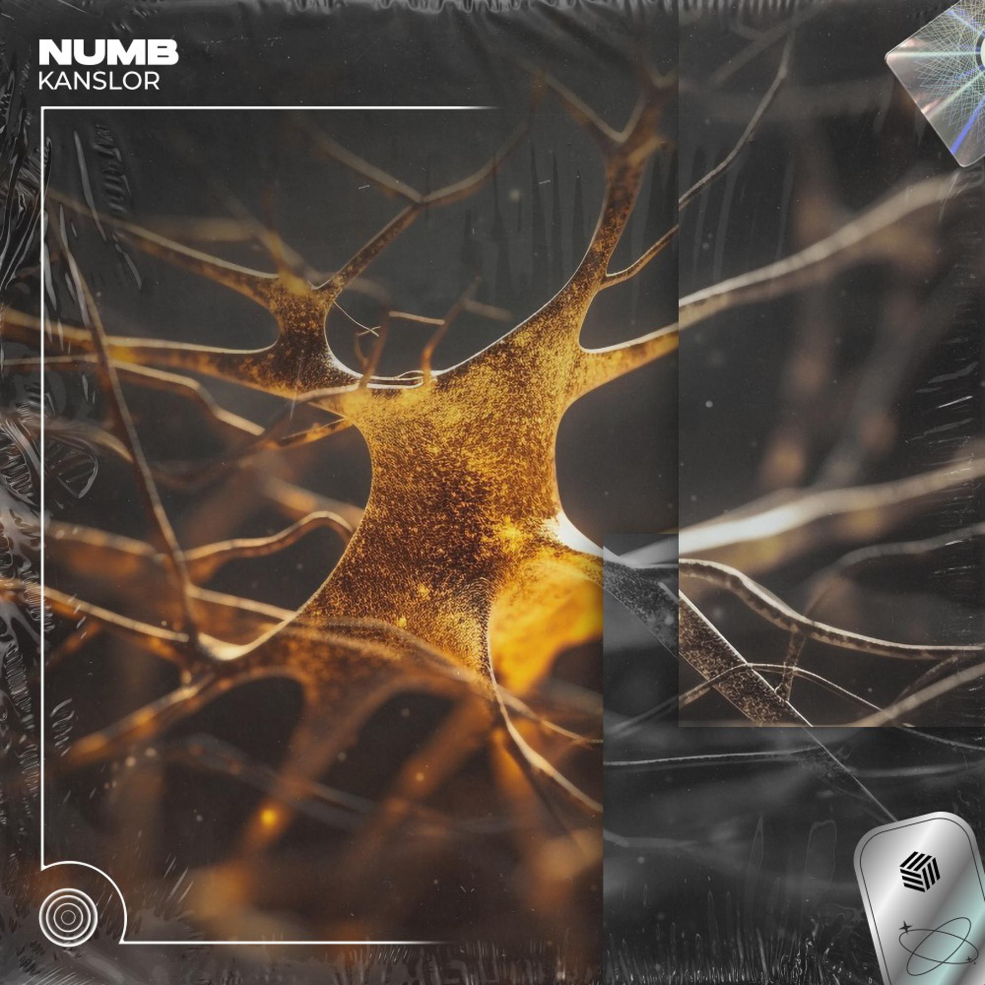 Постер альбома Numb (Techno Remix)
