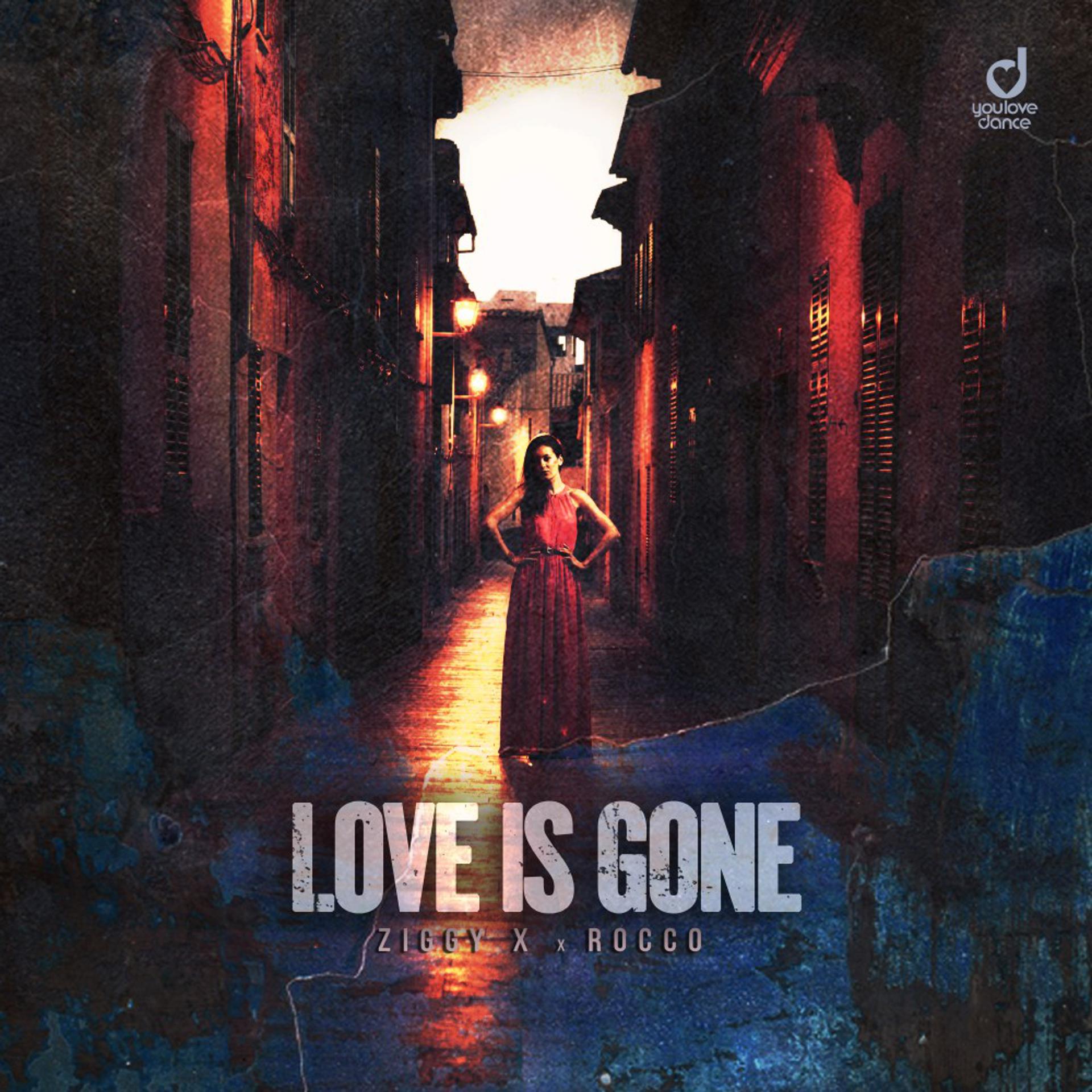 Постер альбома Love Is Gone