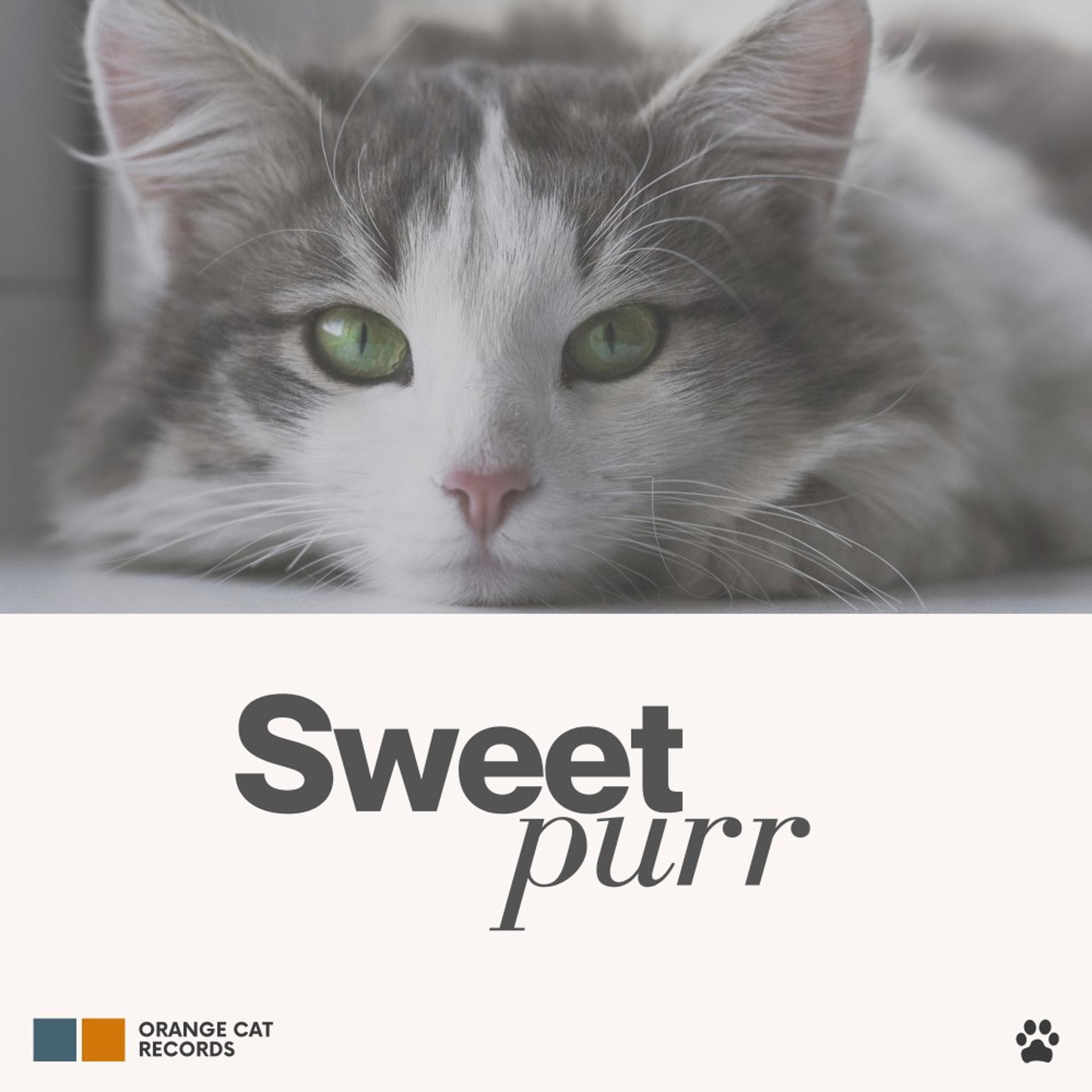 Постер альбома Sweet Purr
