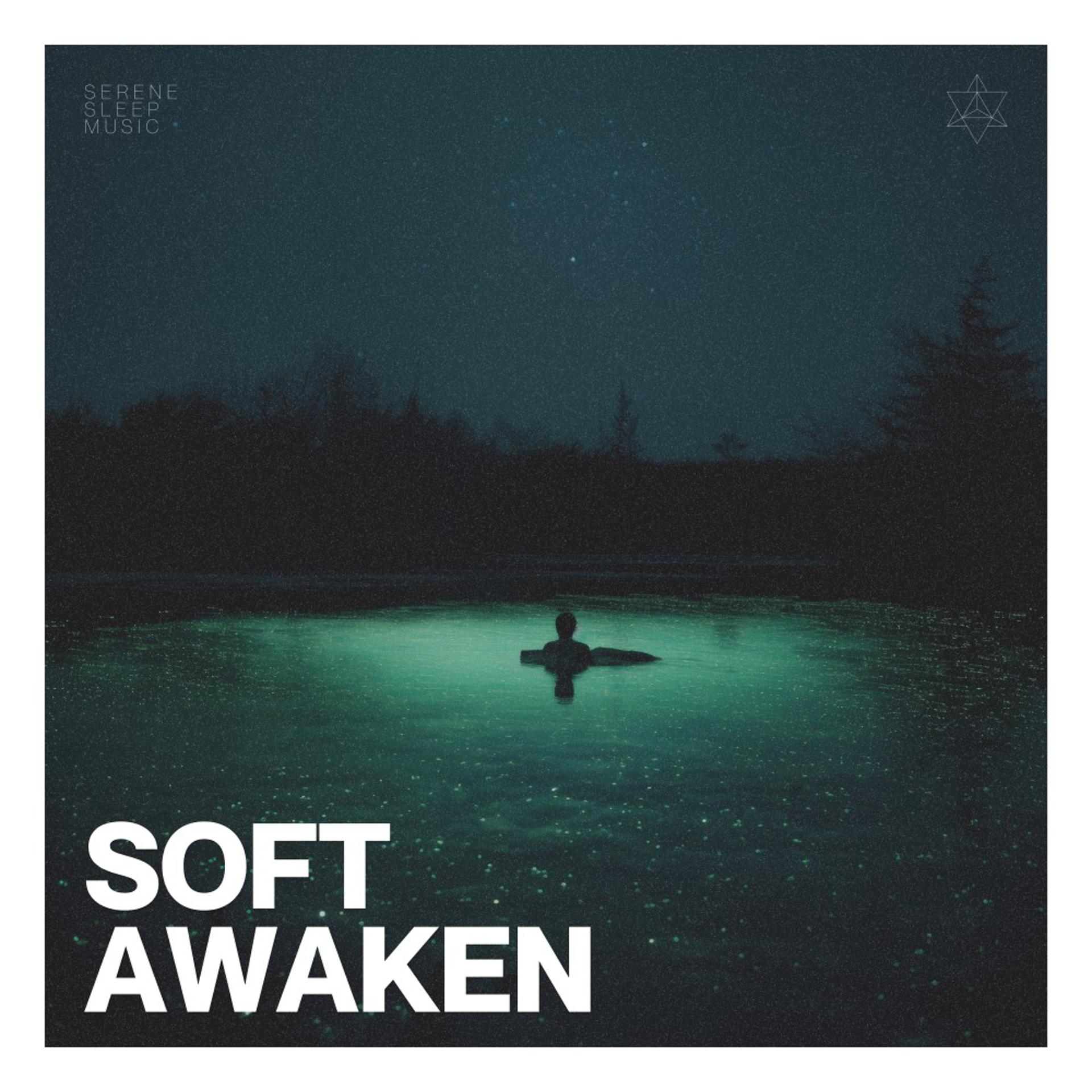 Постер альбома Soft Awaken