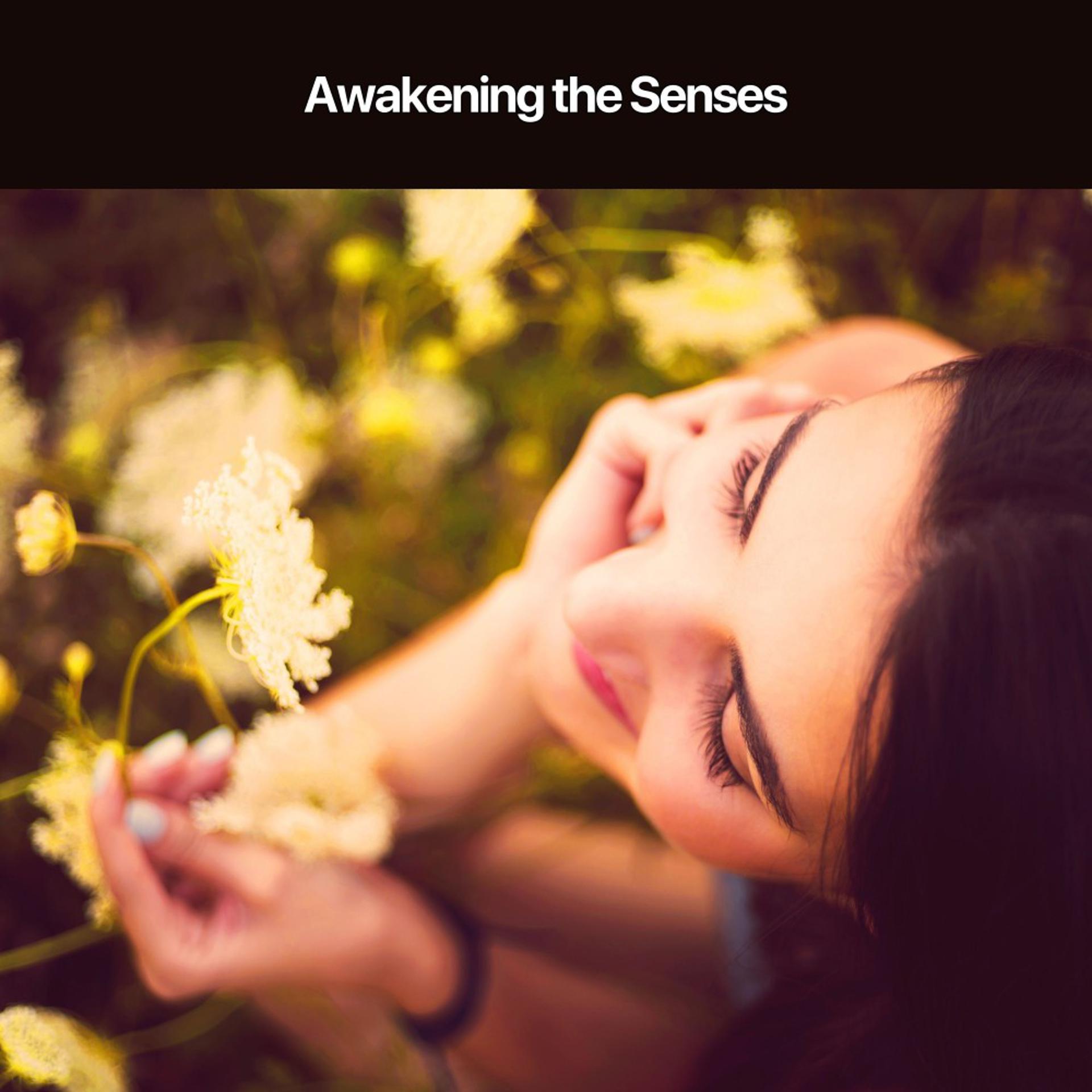 Постер альбома Awakening the Senses