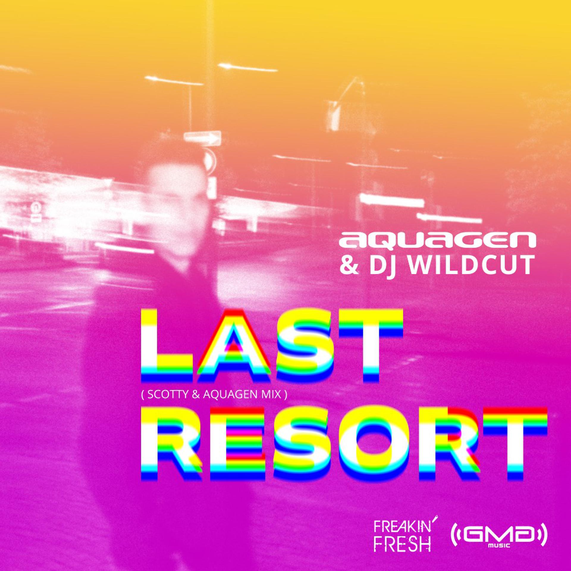 Постер альбома Last Resort (Remix)