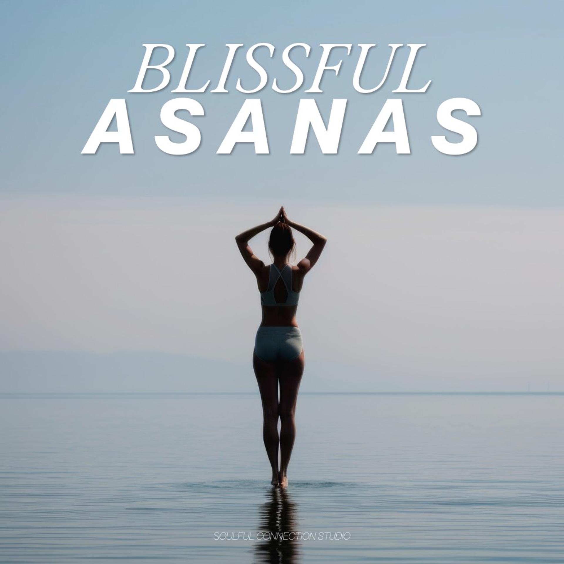 Постер альбома Blissful Asanas