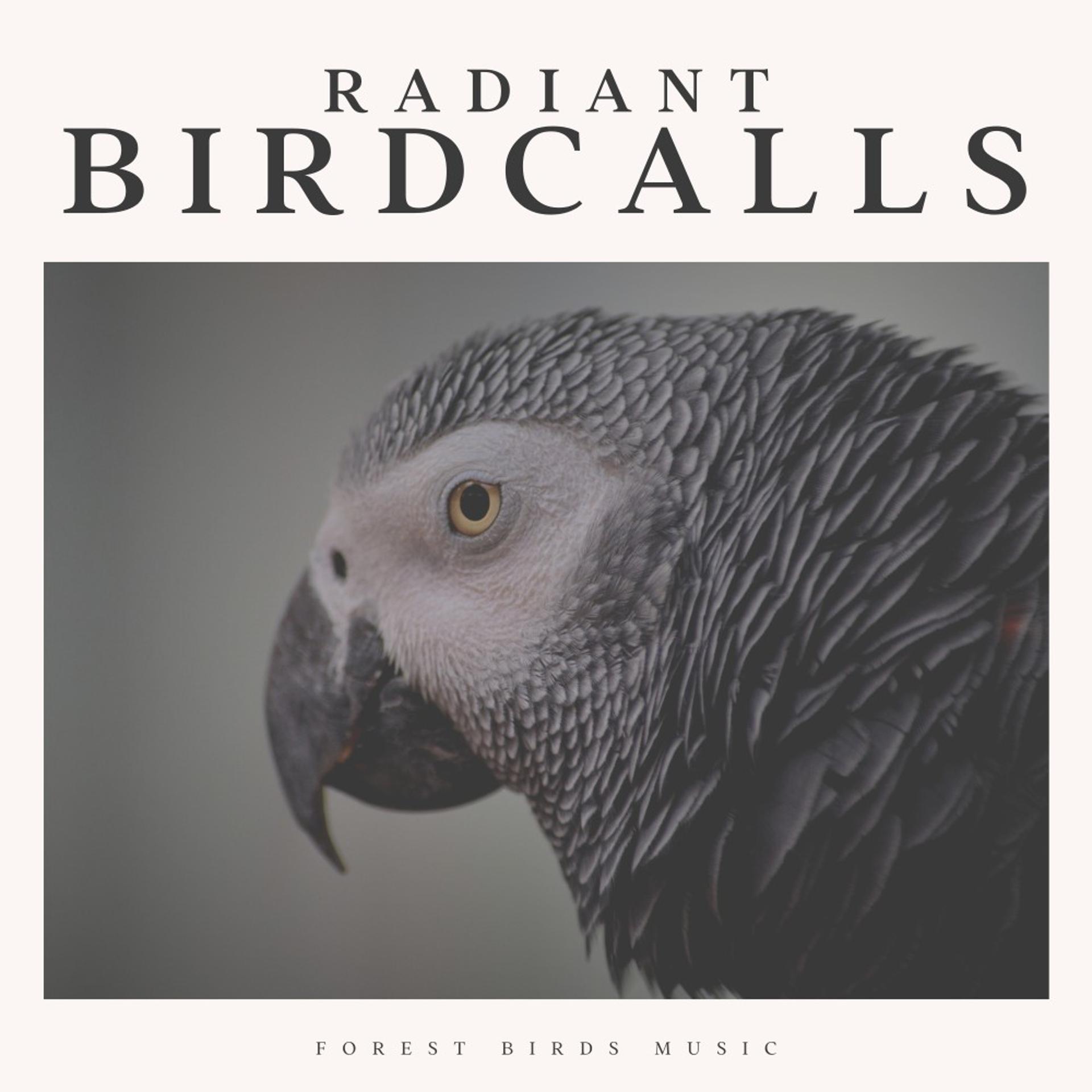 Постер альбома Radiant Birdcalls