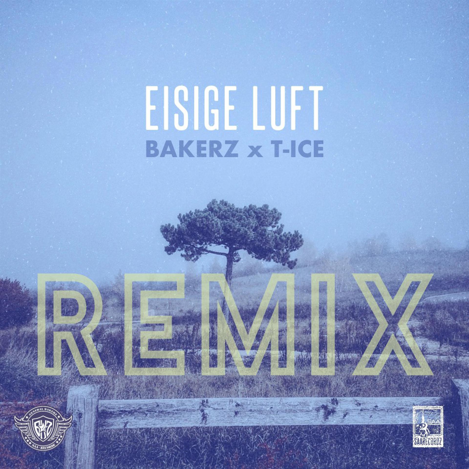 Постер альбома Eisige Luft (Remix)