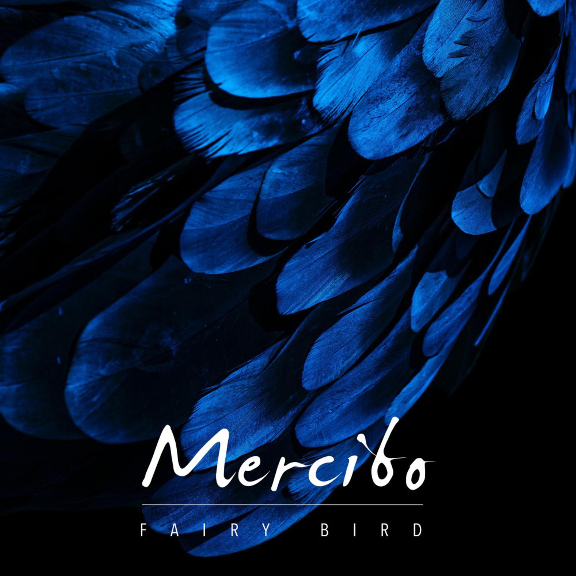 Постер альбома Fairy Bird
