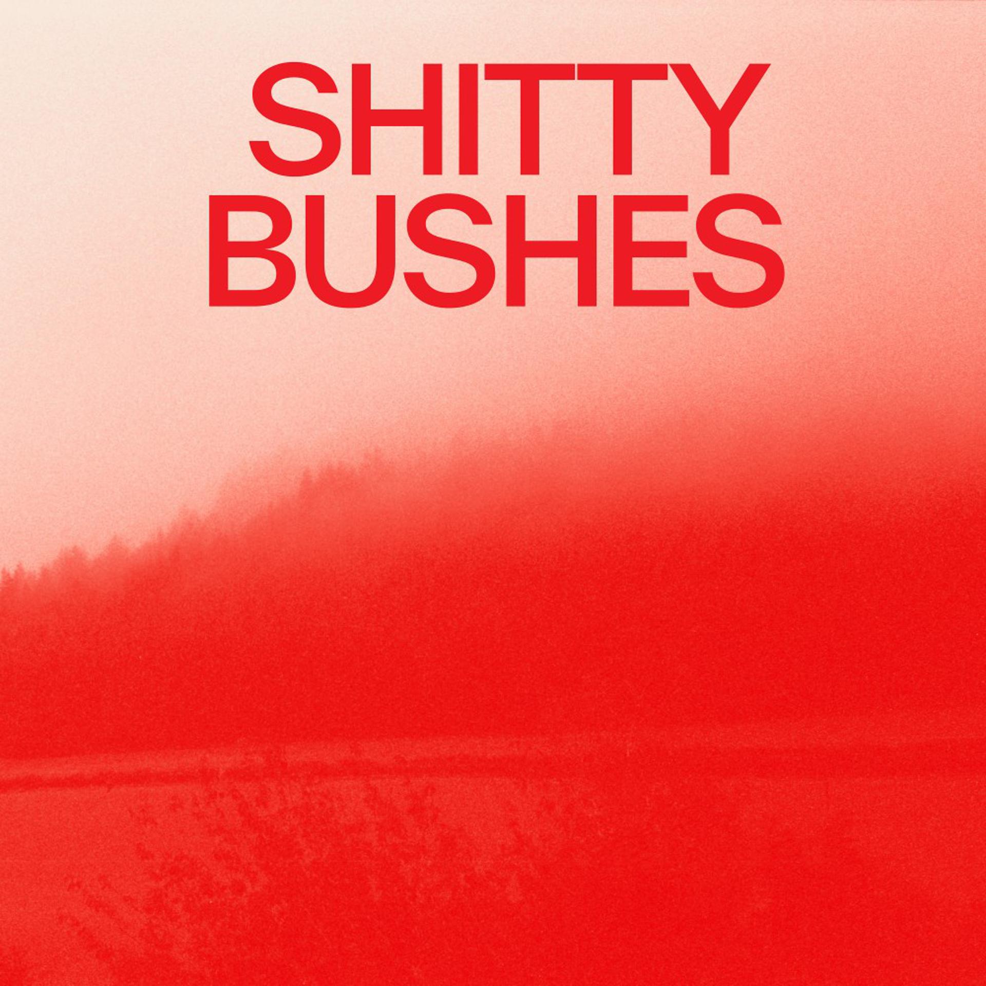Постер альбома Shitty Bushes