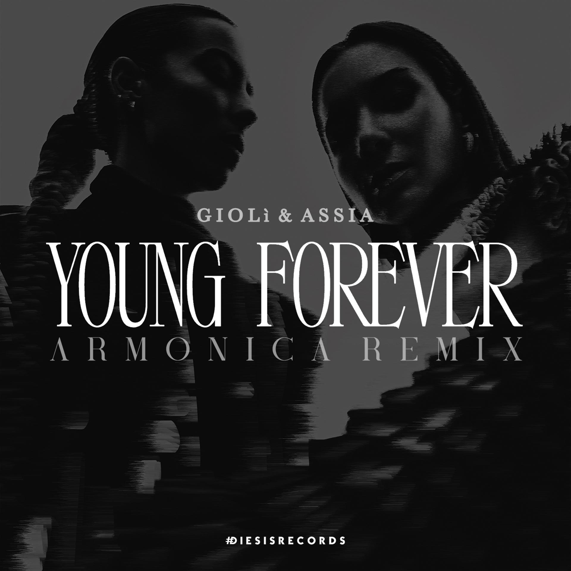 Постер альбома Young Forever (Armonica Remix)