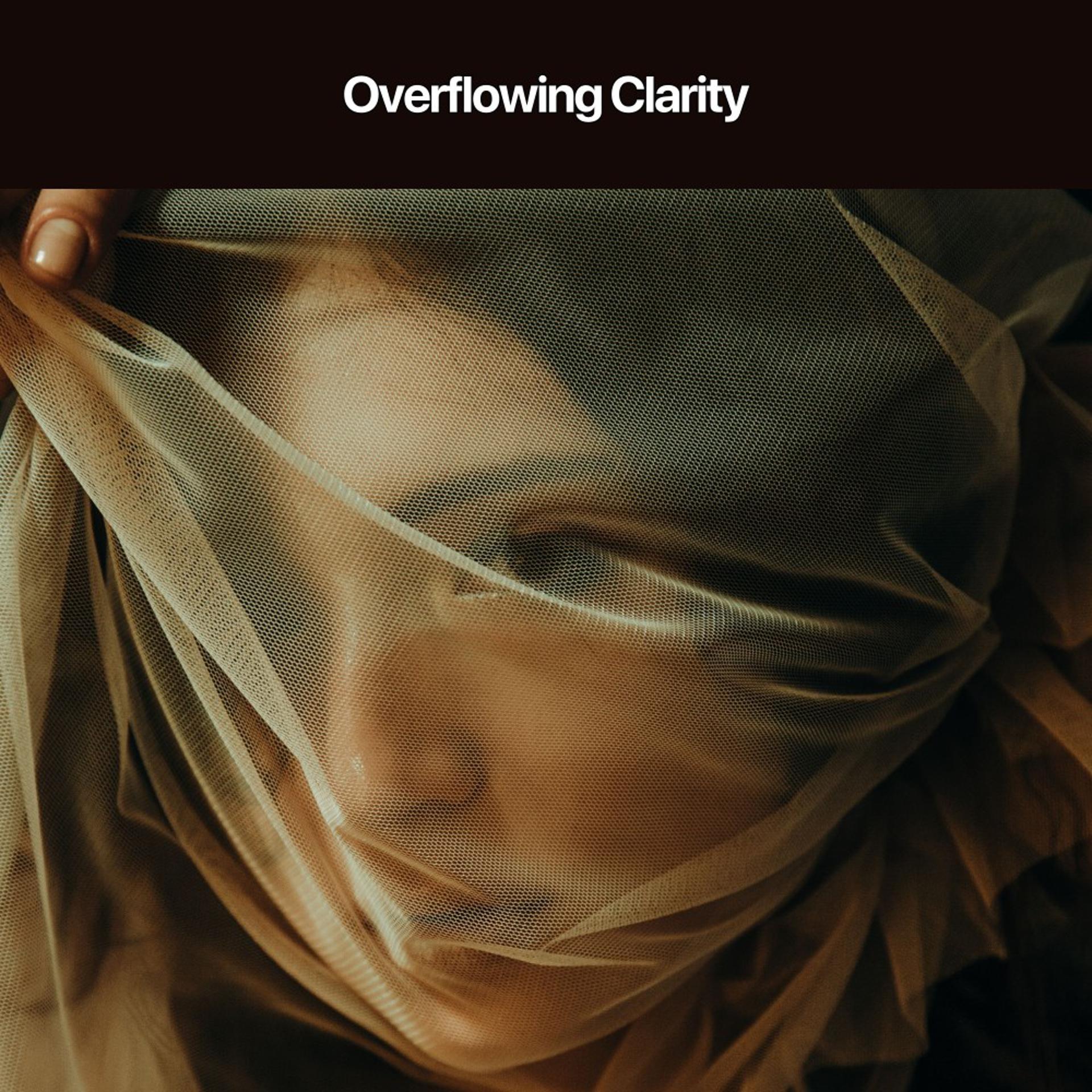 Постер альбома Overflowing Clarity
