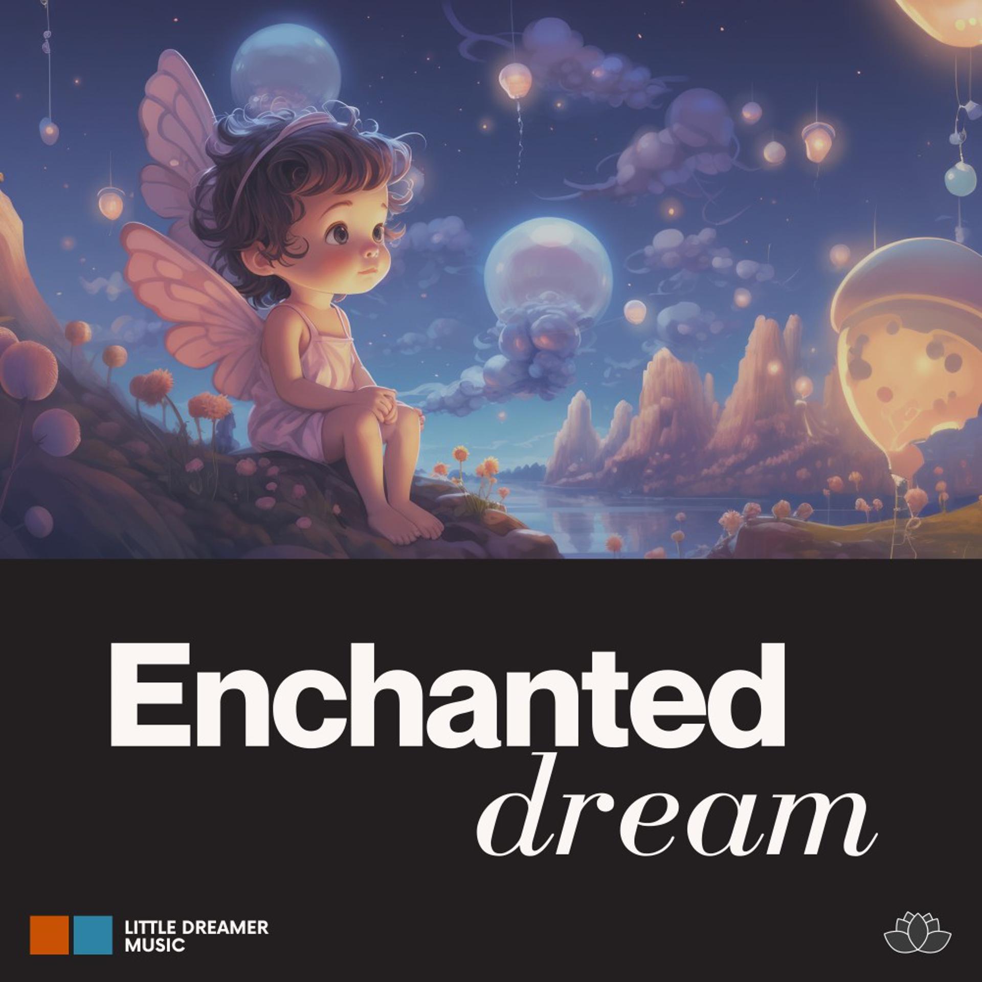 Постер альбома Enchanted Dream