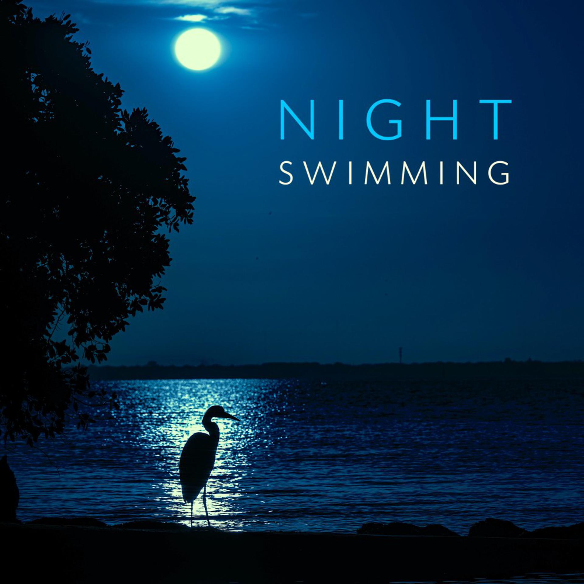 Постер альбома Night Swimming