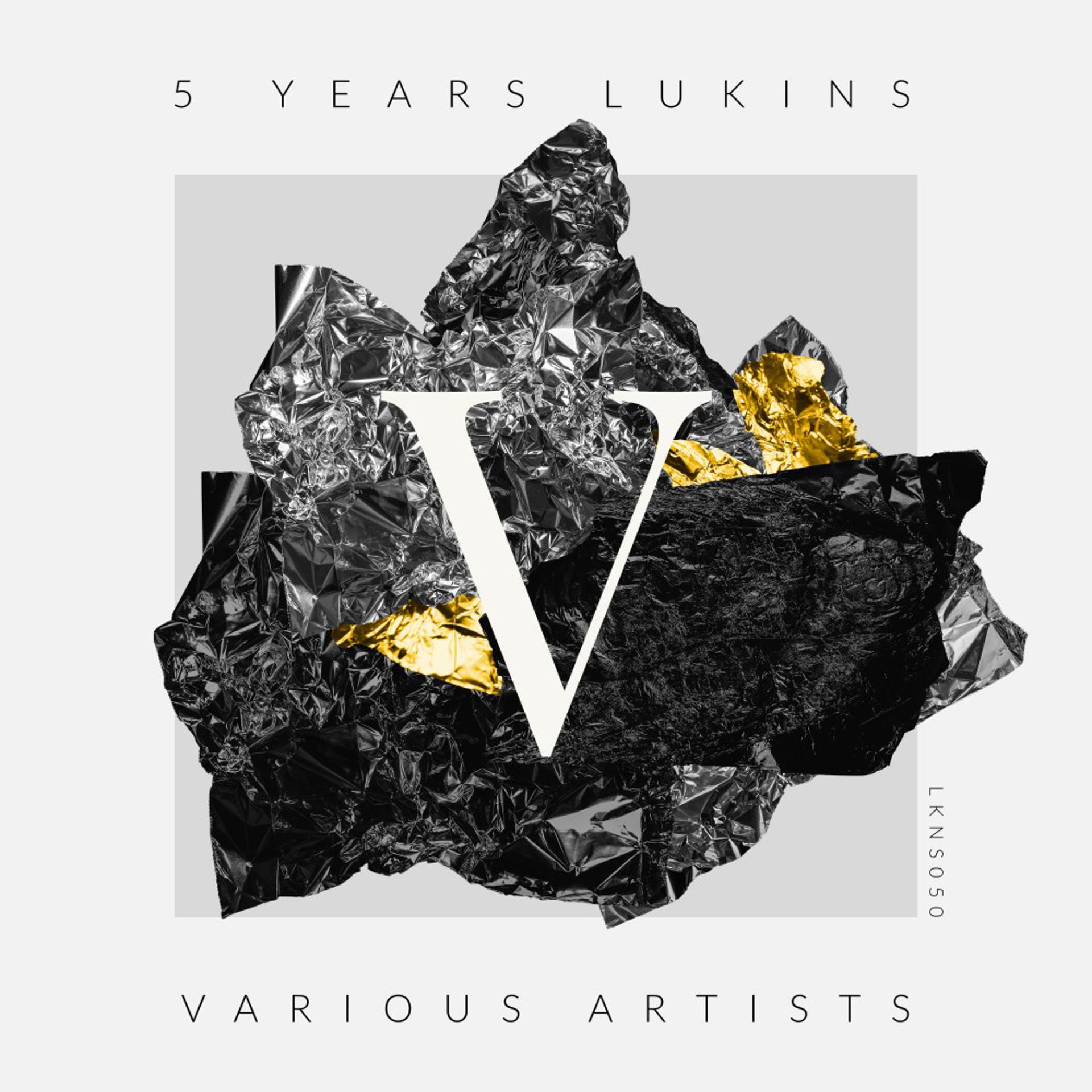 Постер альбома 5 Years Lukins