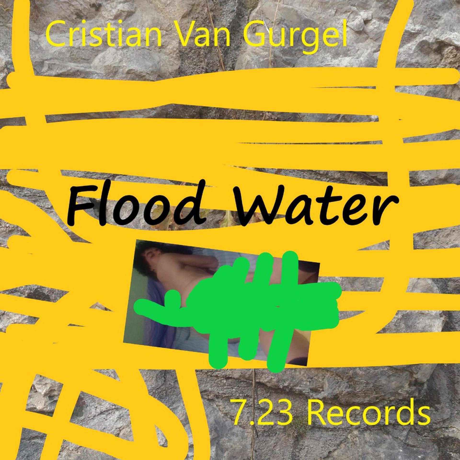 Постер альбома Flood Water