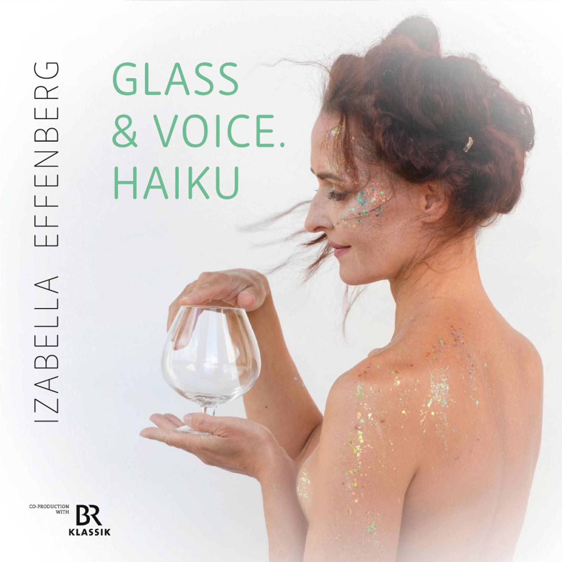 Постер альбома Glass & Voice Haiku
