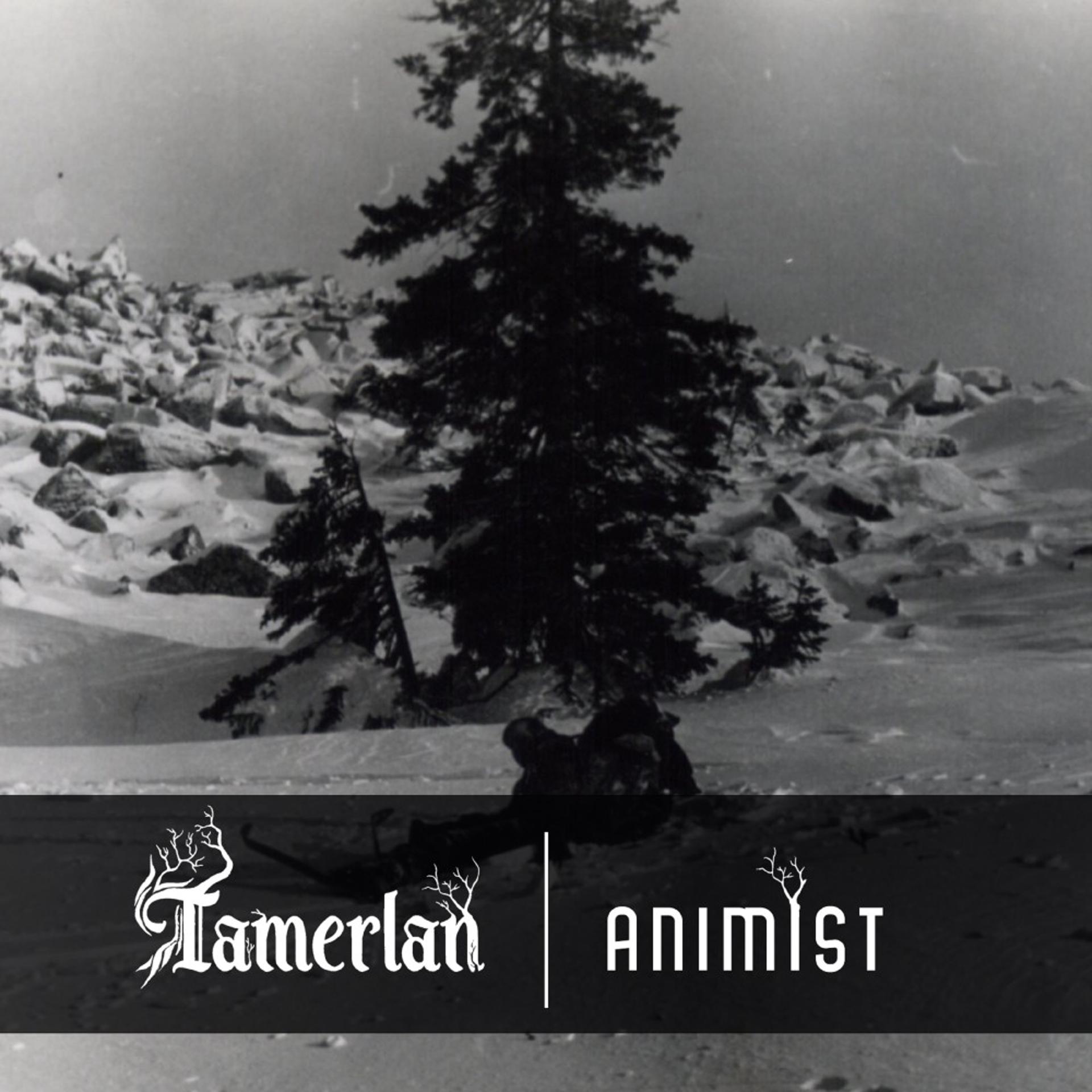 Постер альбома Animist