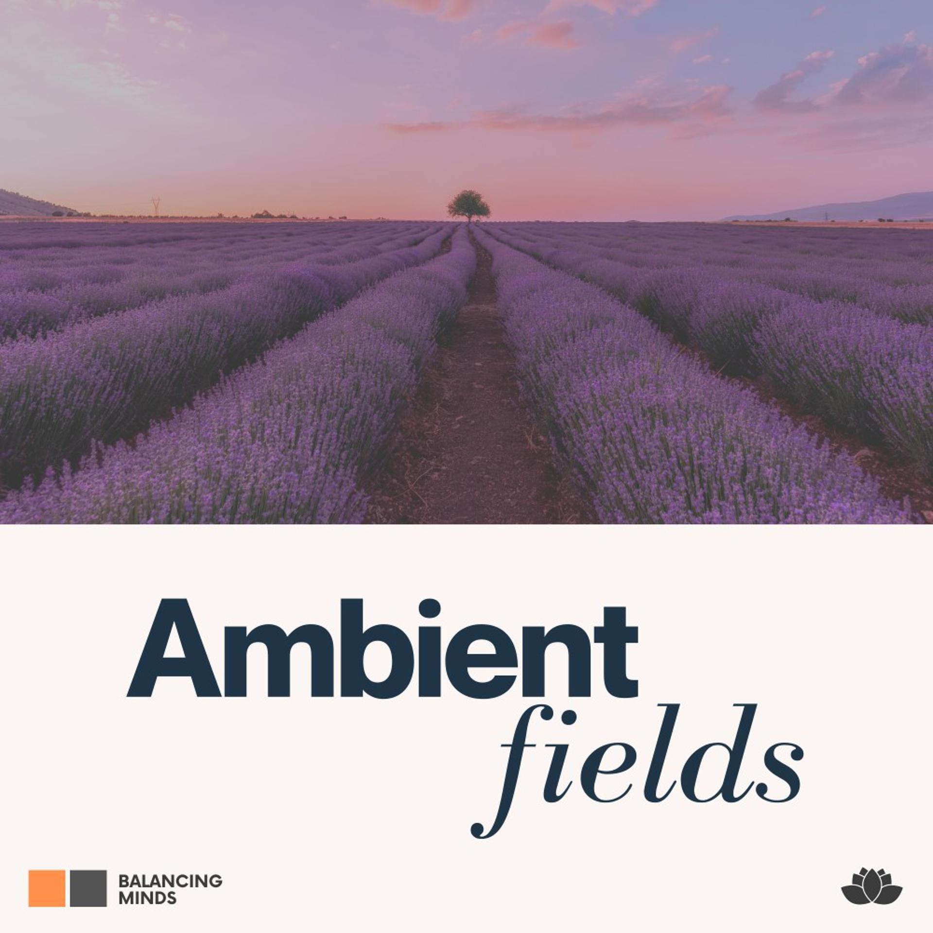 Постер альбома Ambient Fields
