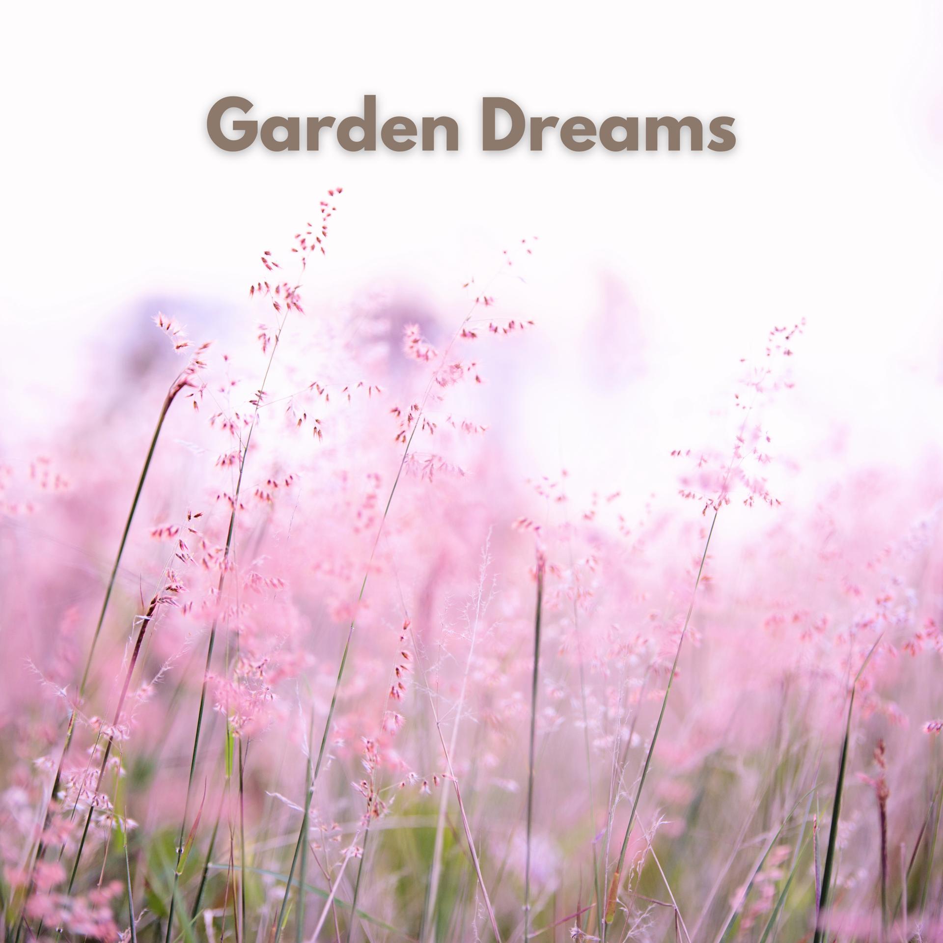 Постер альбома Garden Dreams