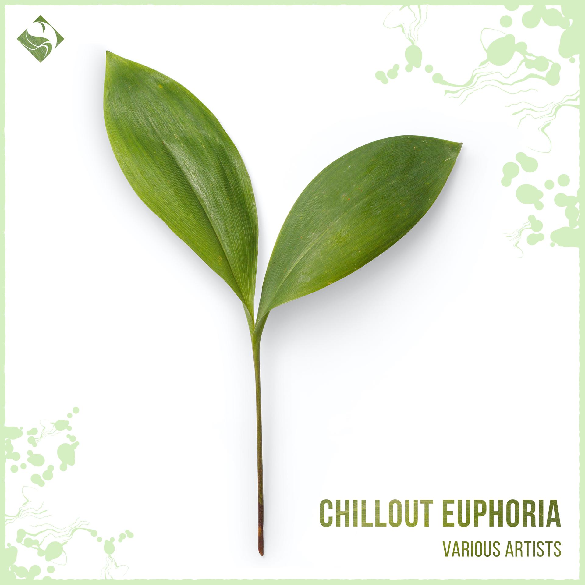 Постер альбома Chillout Euphoria