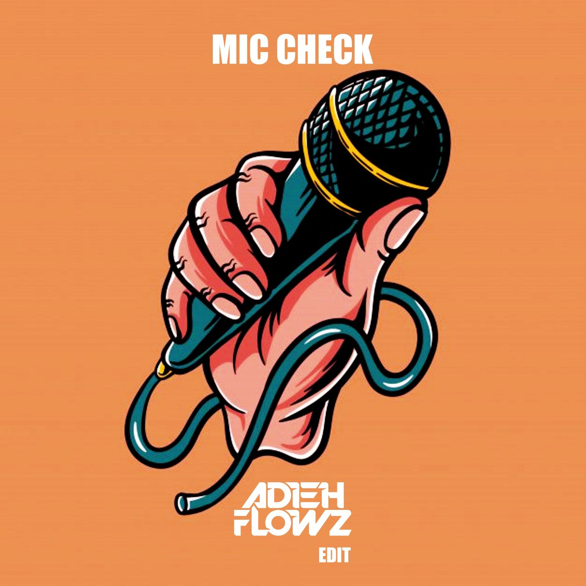 Постер альбома Mic Check