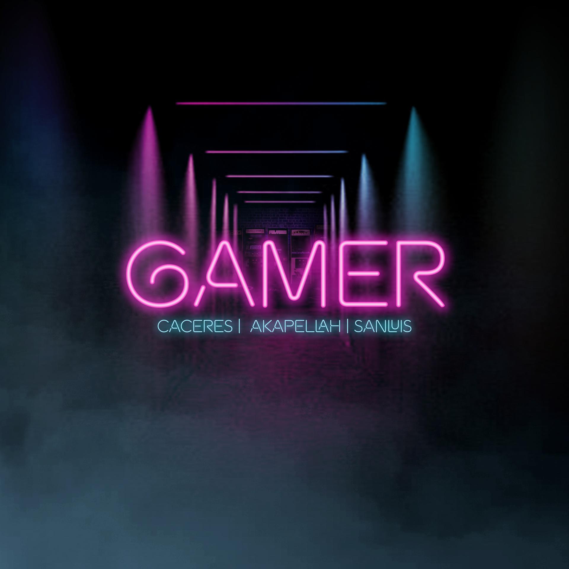 Постер альбома Gamer