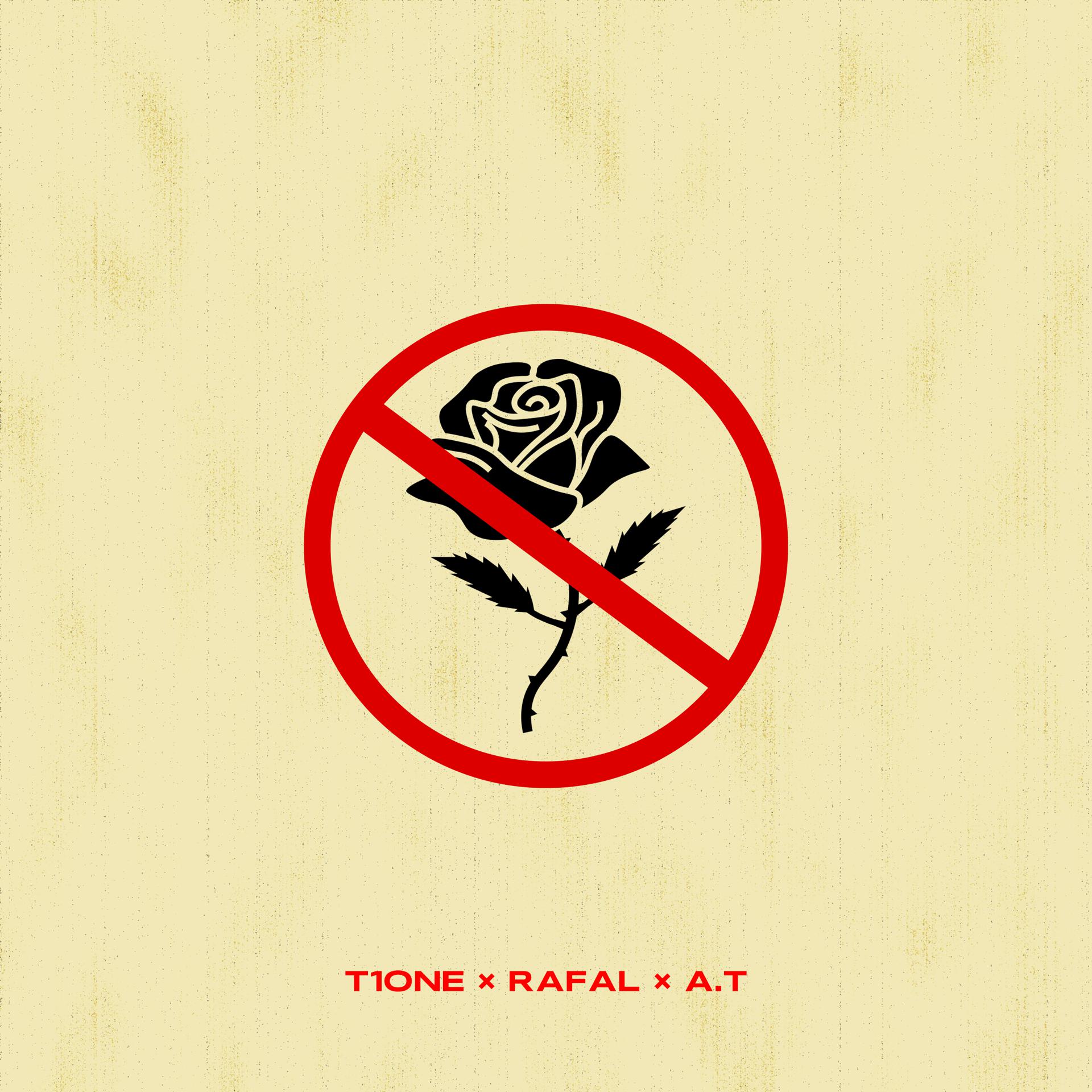 Постер альбома Она не любит розы