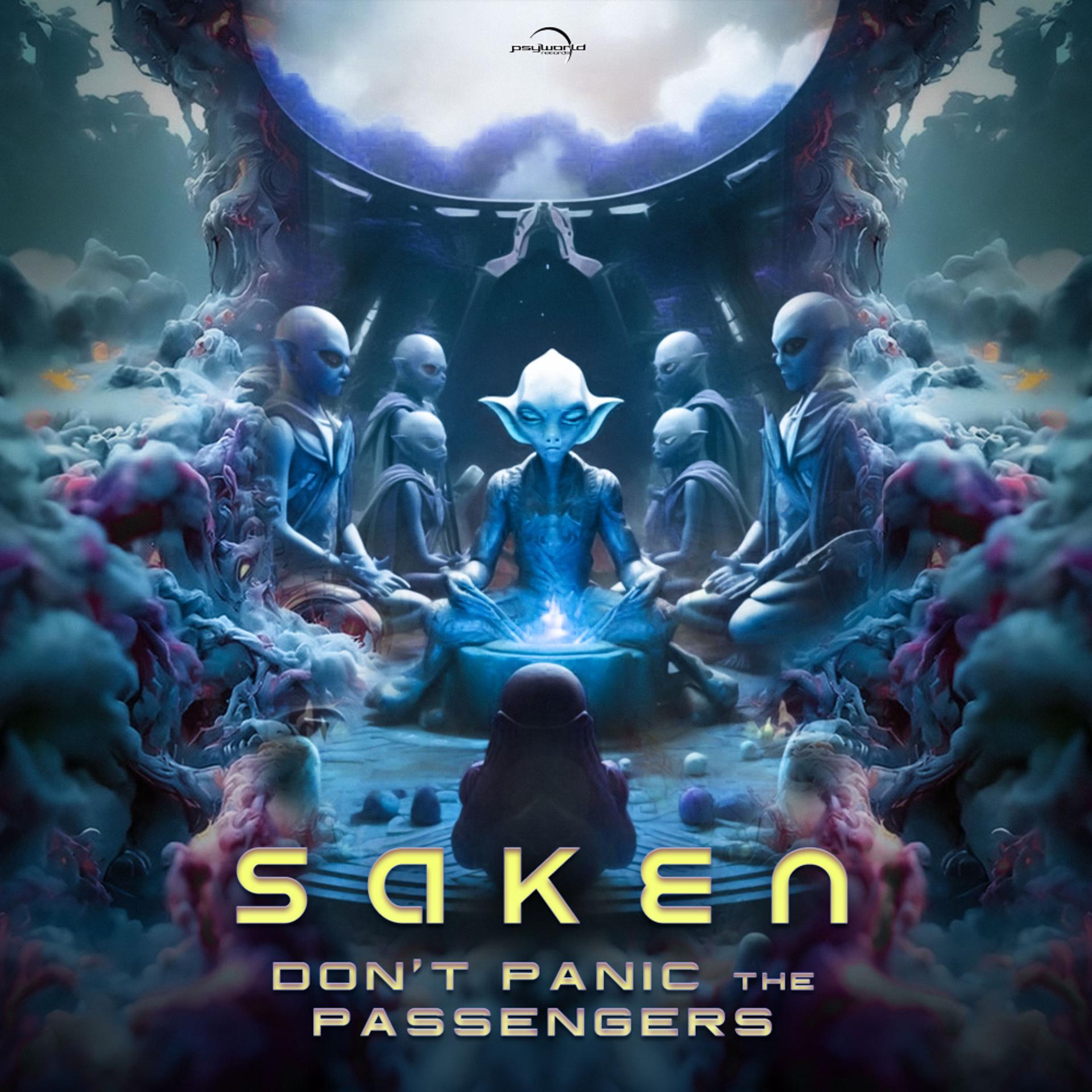 Постер альбома Don't Panic the Passengers