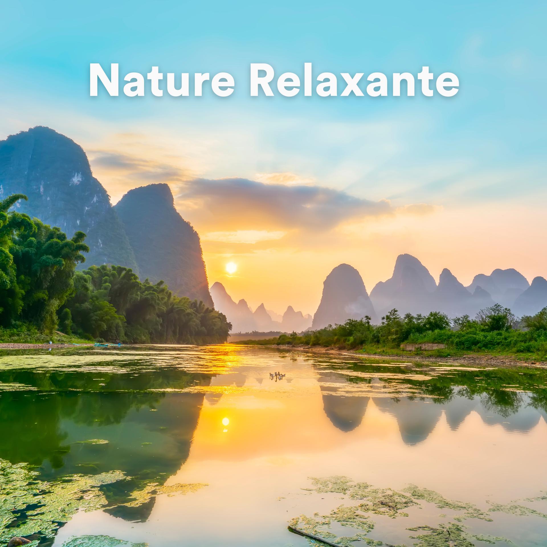 Постер альбома Nature Relaxante