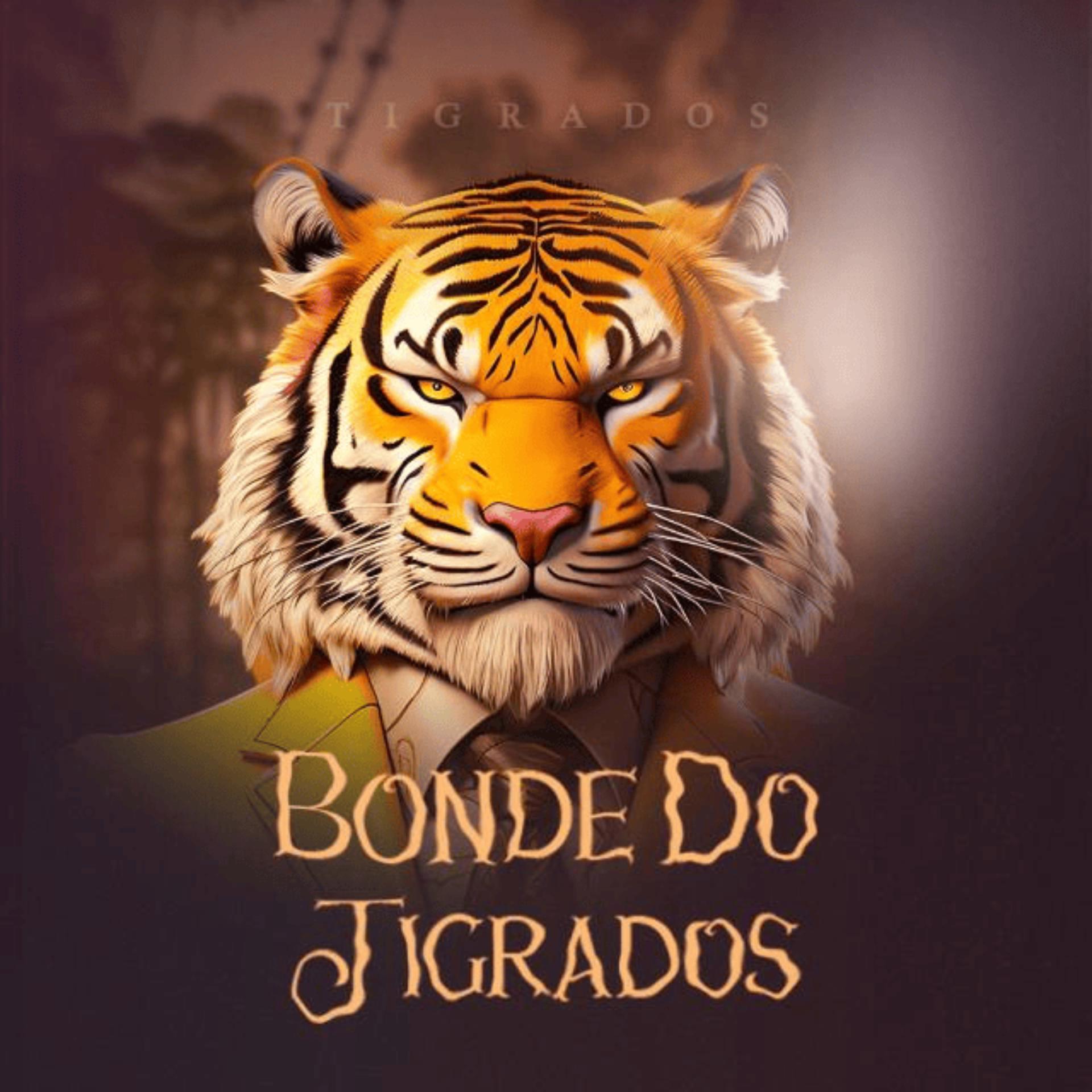 Постер альбома Bonde dos Tigrados