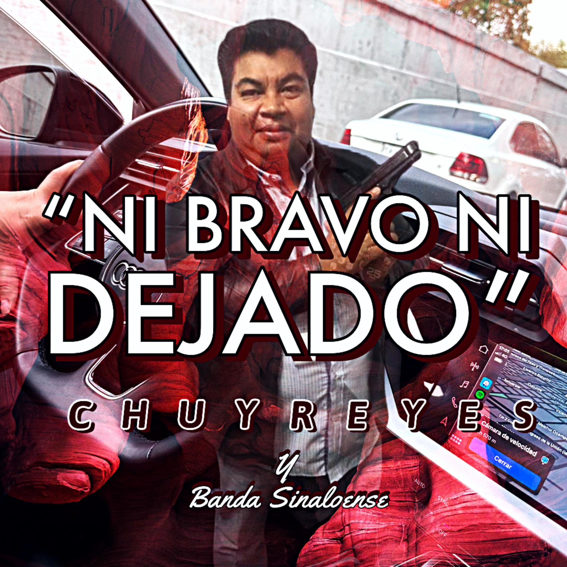 Постер альбома Ni Bravo, Ni Dejado