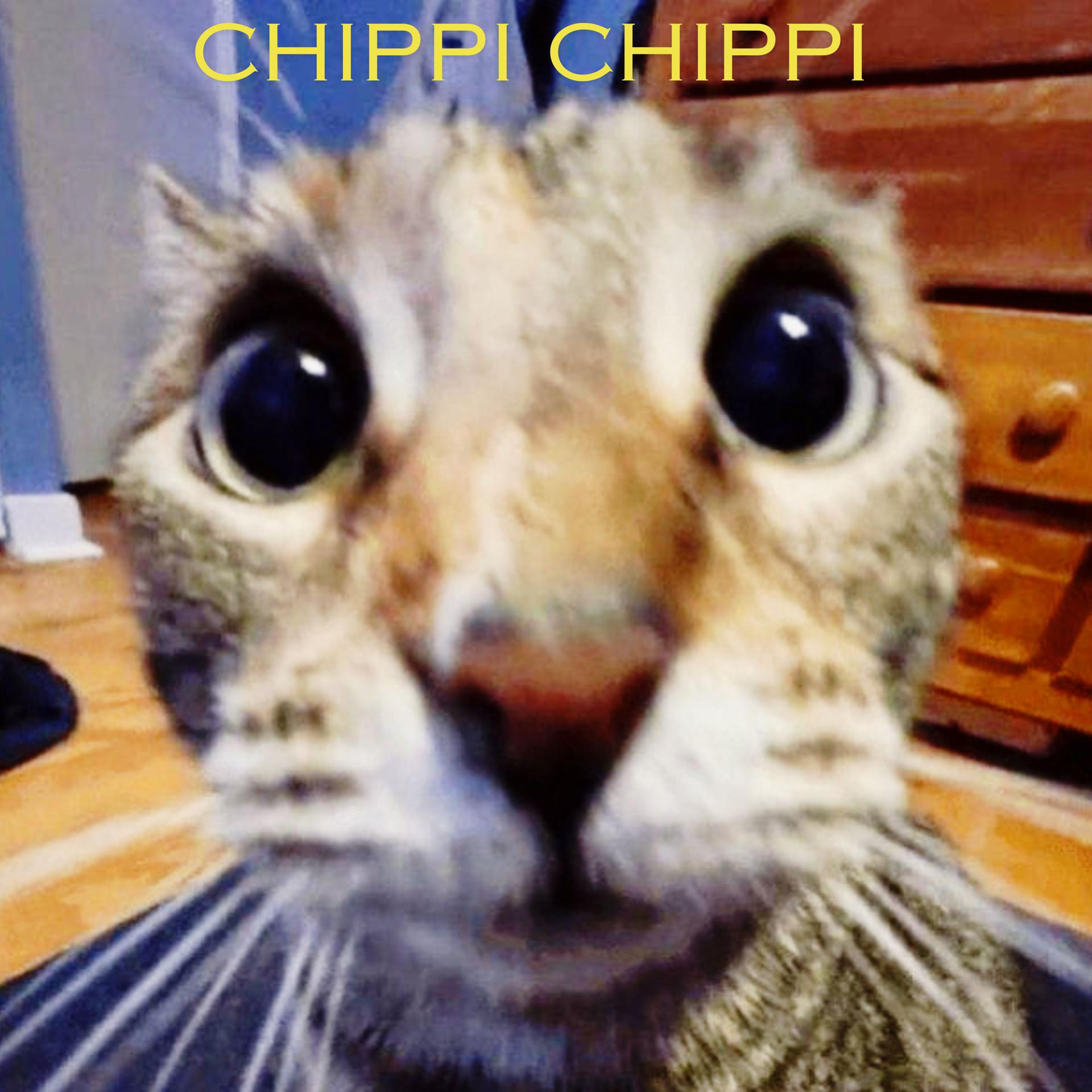 Постер альбома Chippi Chippi Chappa Chappa